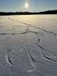 Tracks in fresh snow under a bright winter sun