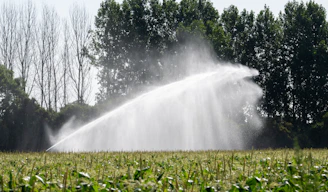 Irrigation sprinkler watering a green agricultural field with trees.