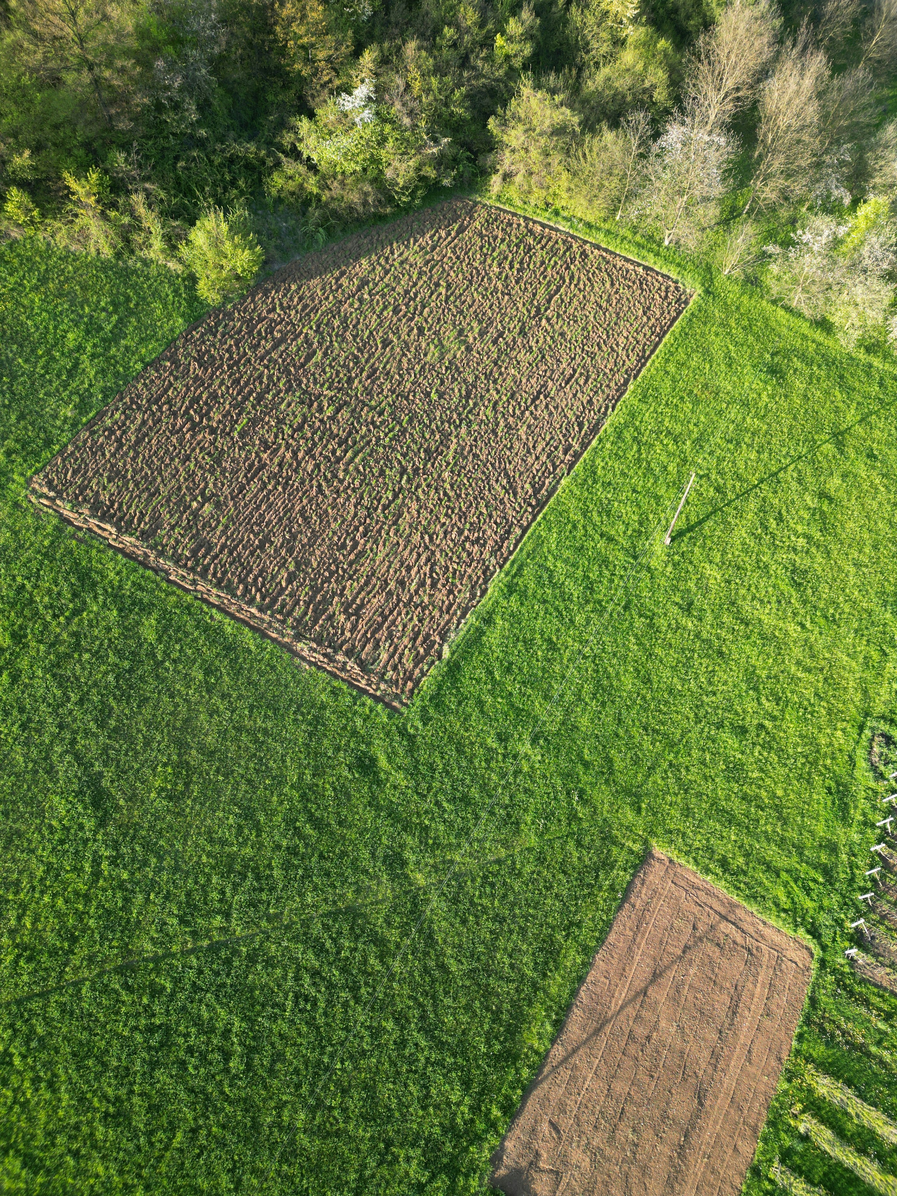 Two rectangular tilled fields amidst green grass and trees.