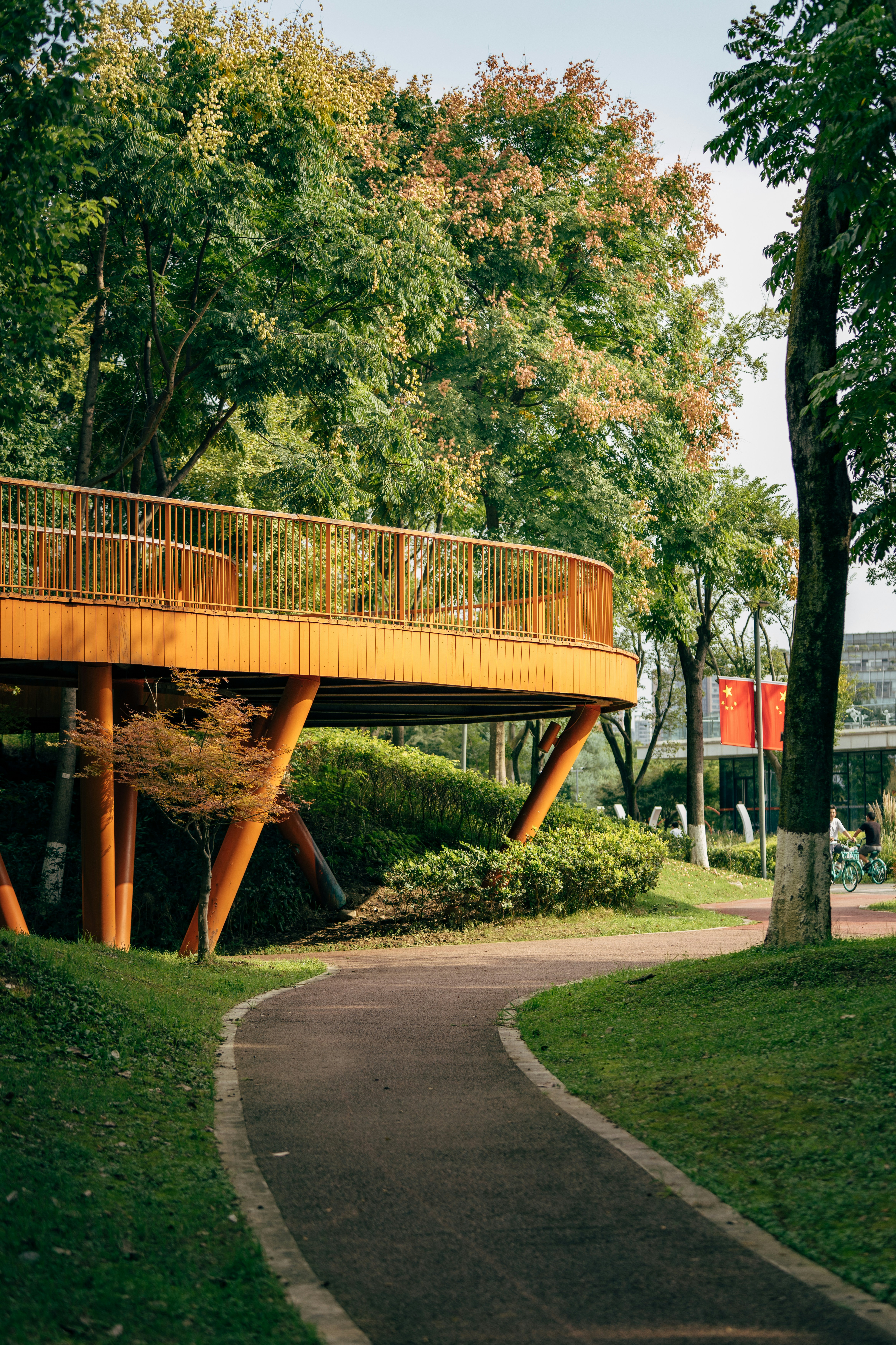 Modern wooden walkway and winding path in a serene park.