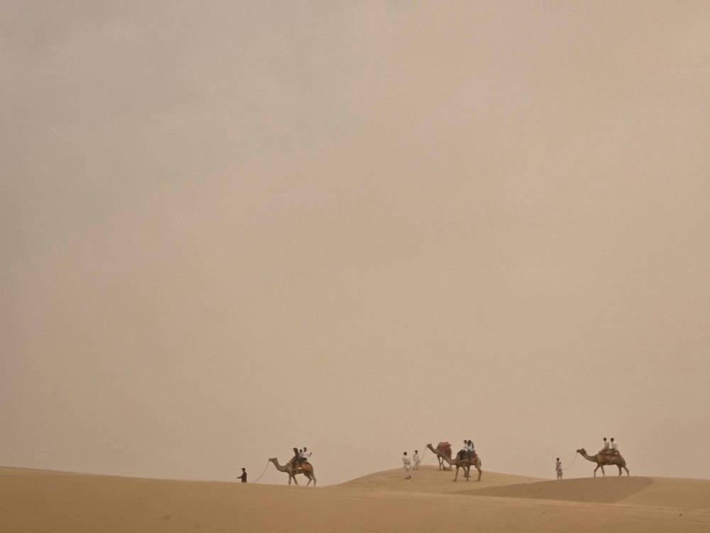 Thar · dunas