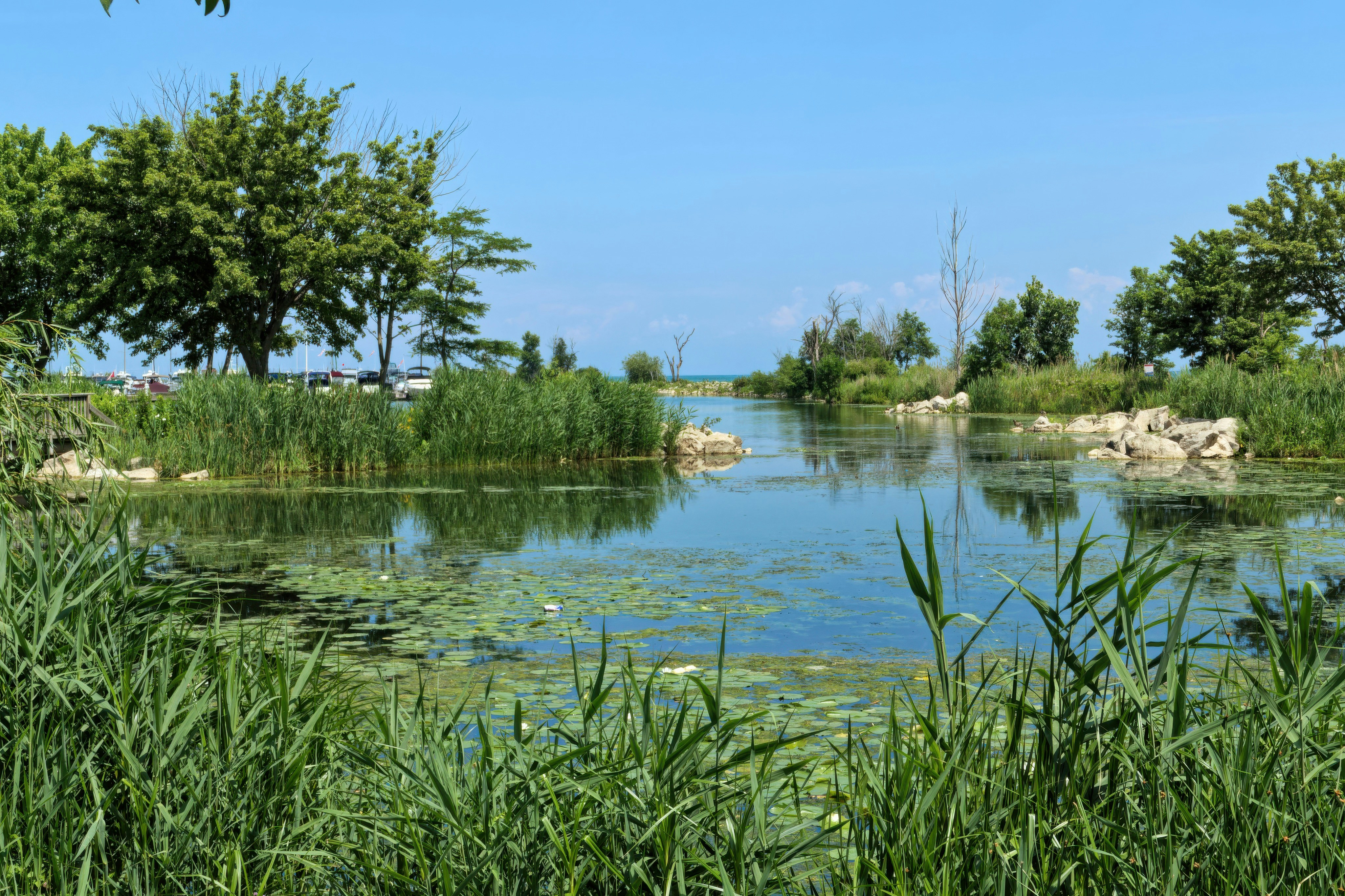 Clear pond at De Vijverhof