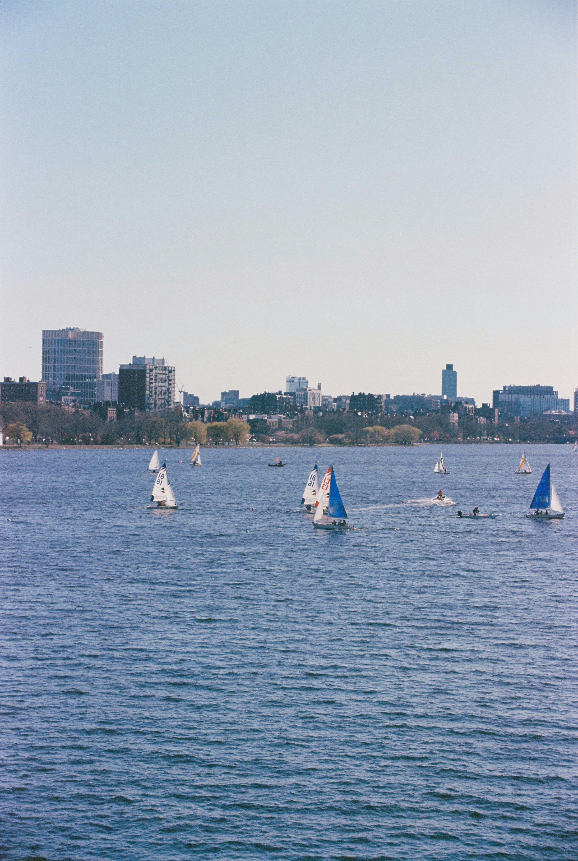 Sailboats navigate blue water with a city skyline backdrop