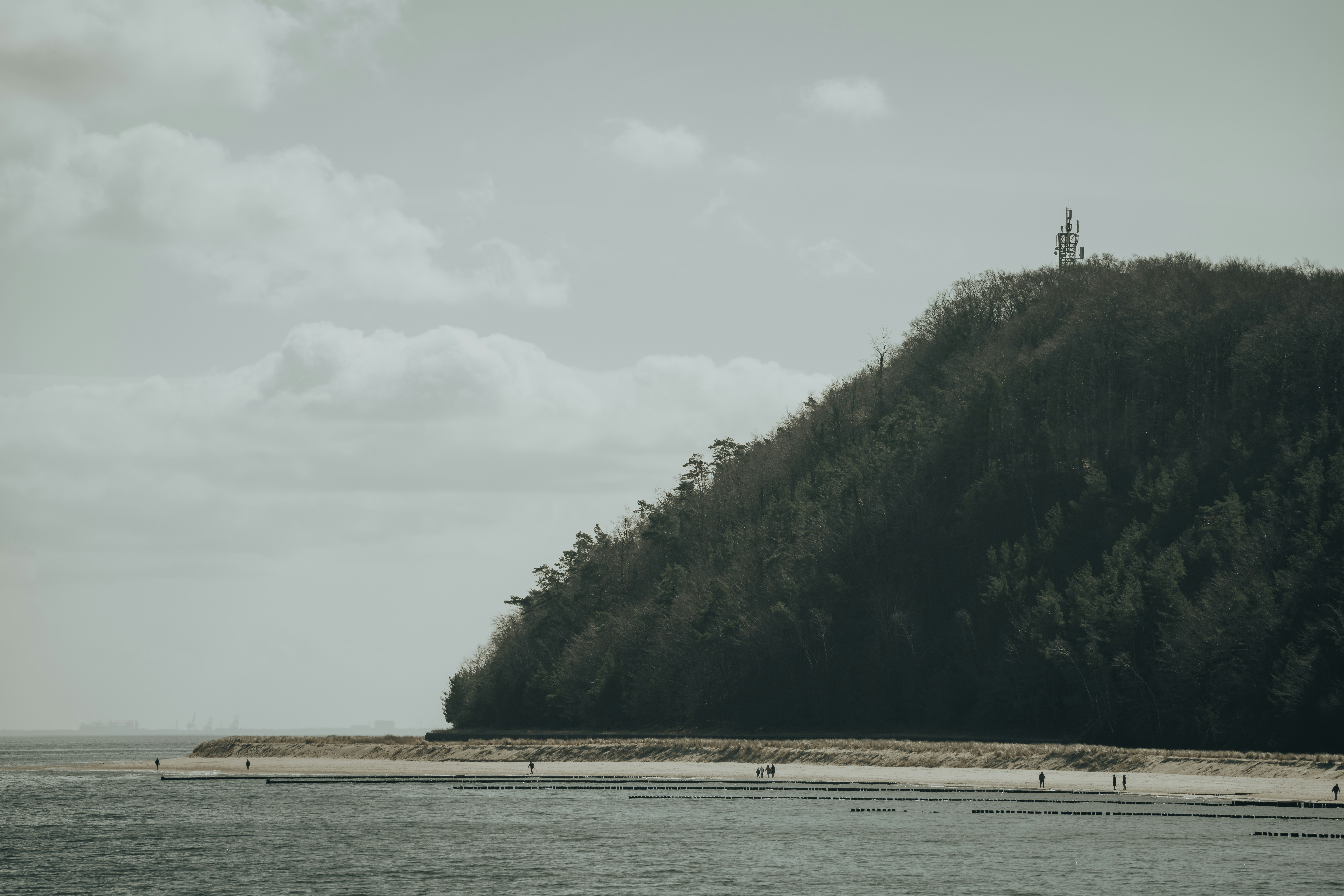Tree-covered hill with a monument overlooking the ocean
