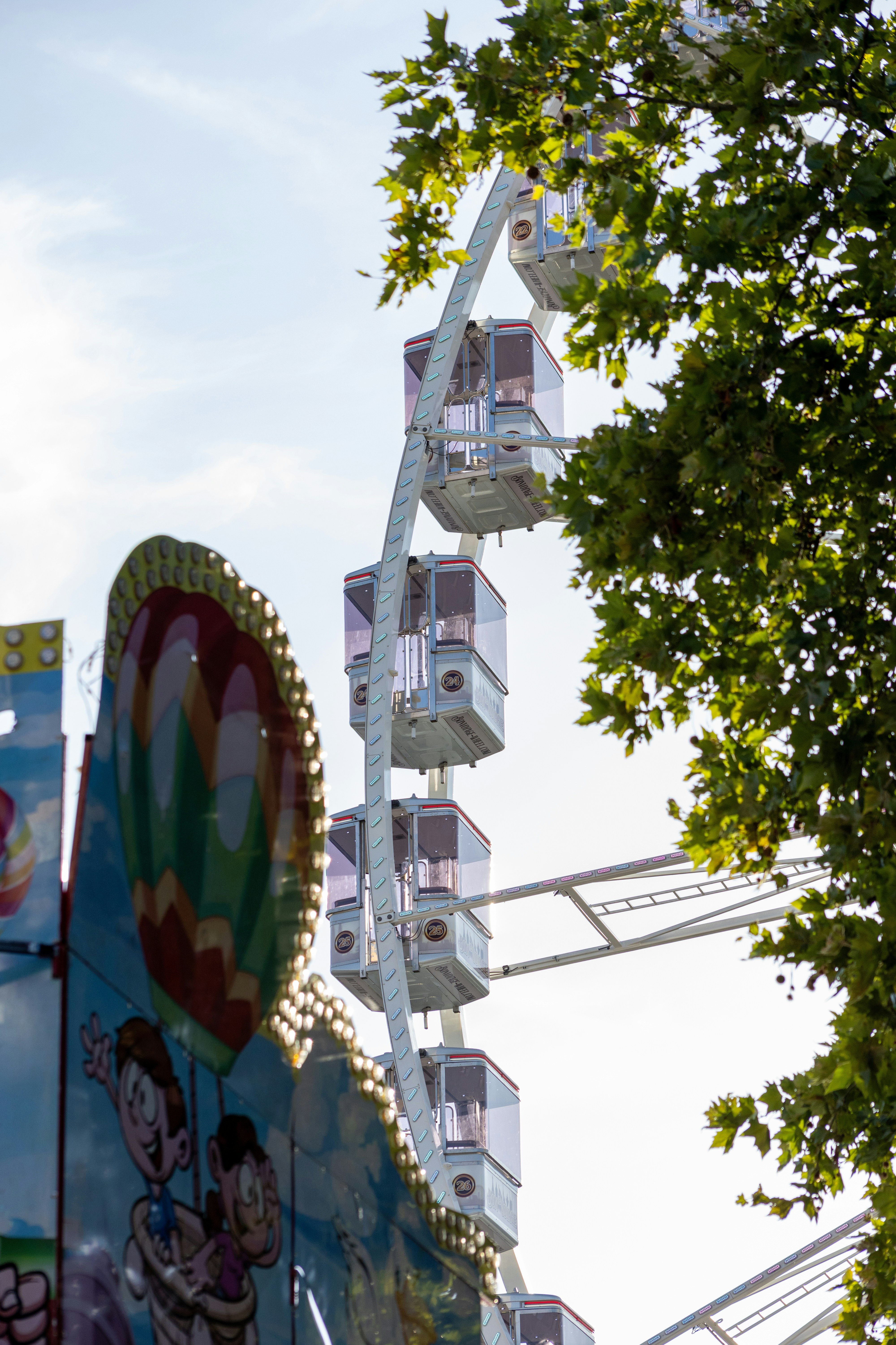 Ferris wheel and carnival ride partially obscured by green leaves.