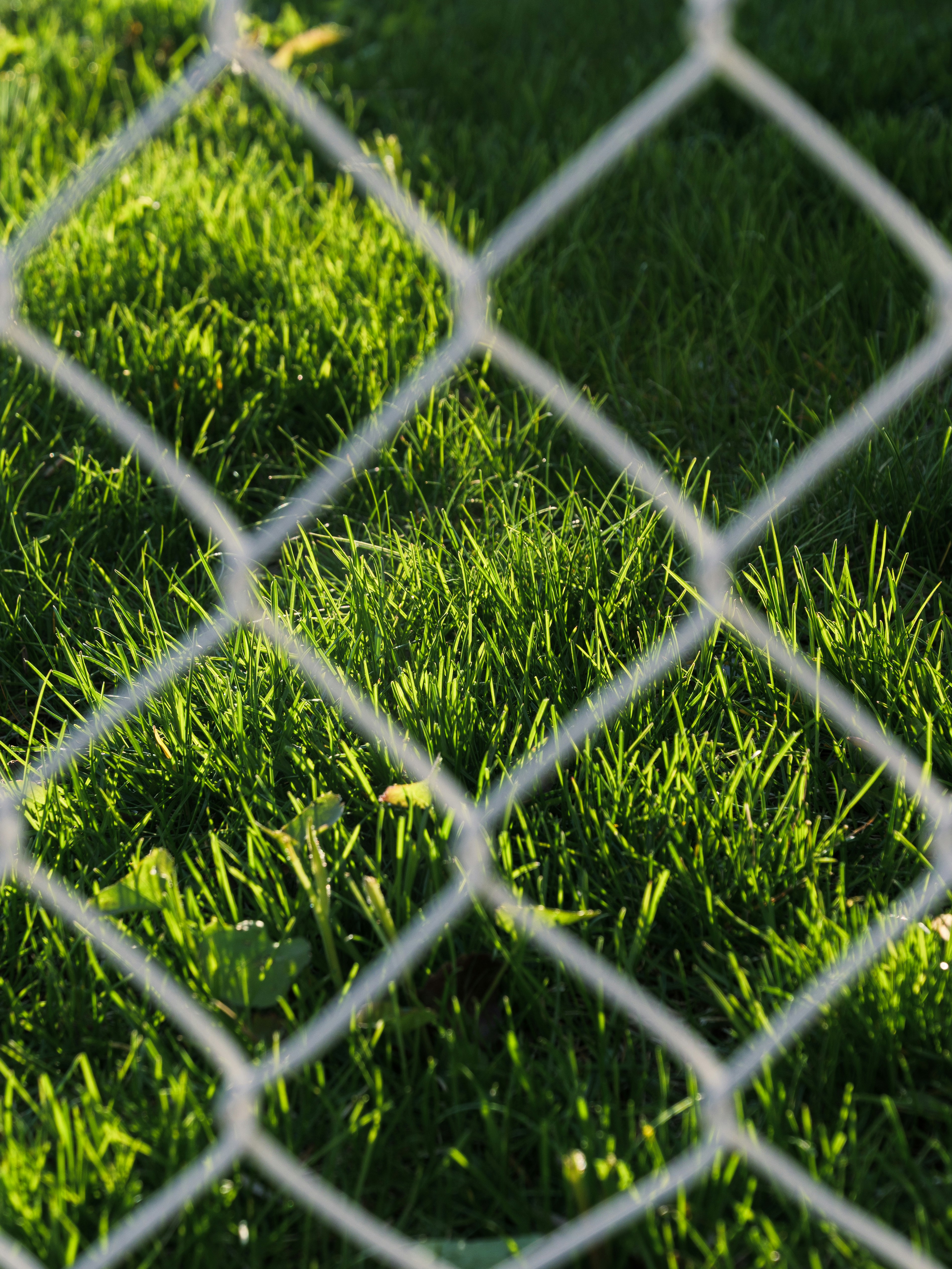 Close view of galvanized chain link fence mesh with green grass behind it, showing the diamond weave and wire gauge that determine chain link fence quality
