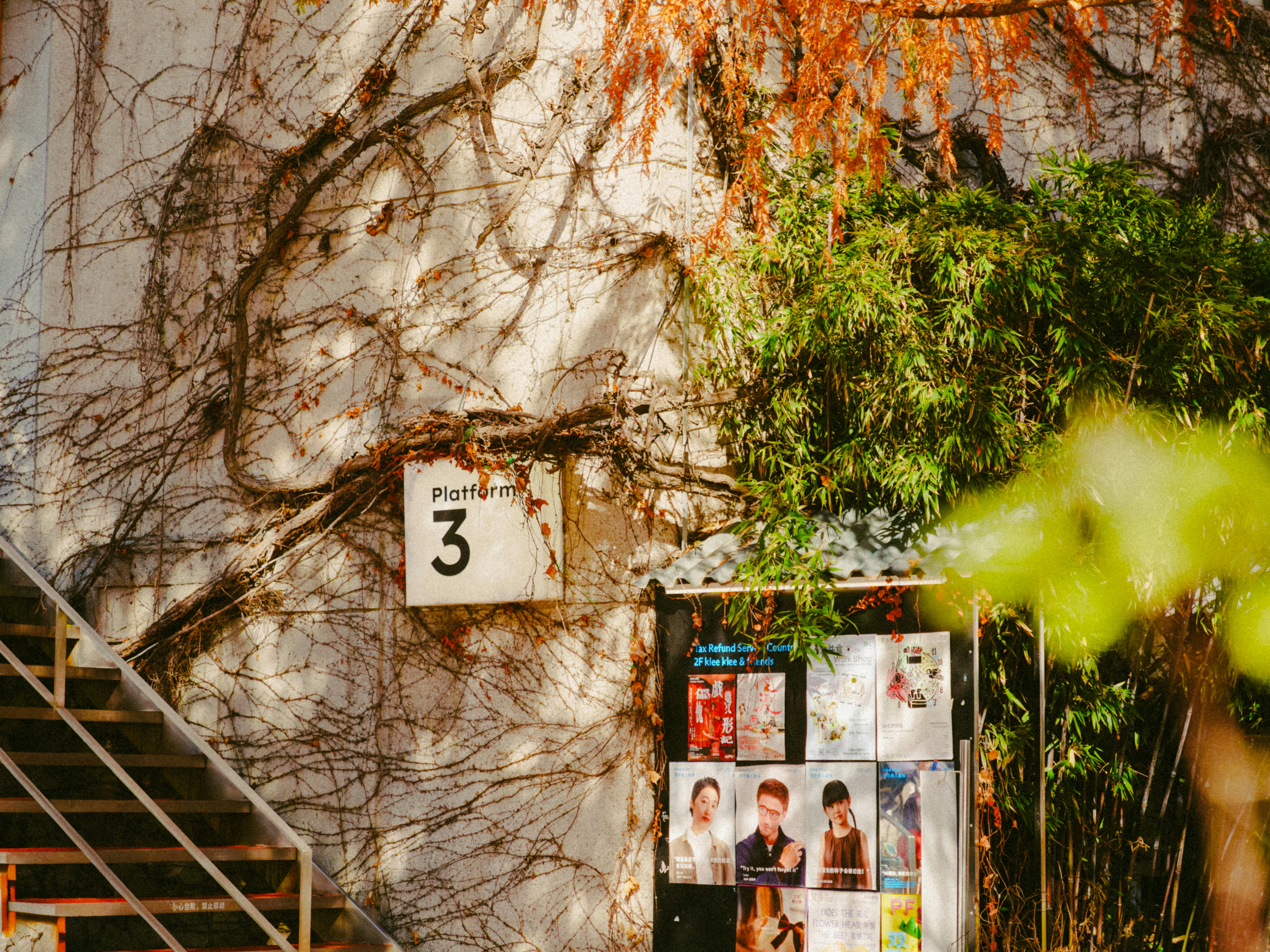 A vine-covered wall with a number 3 sign and stairs