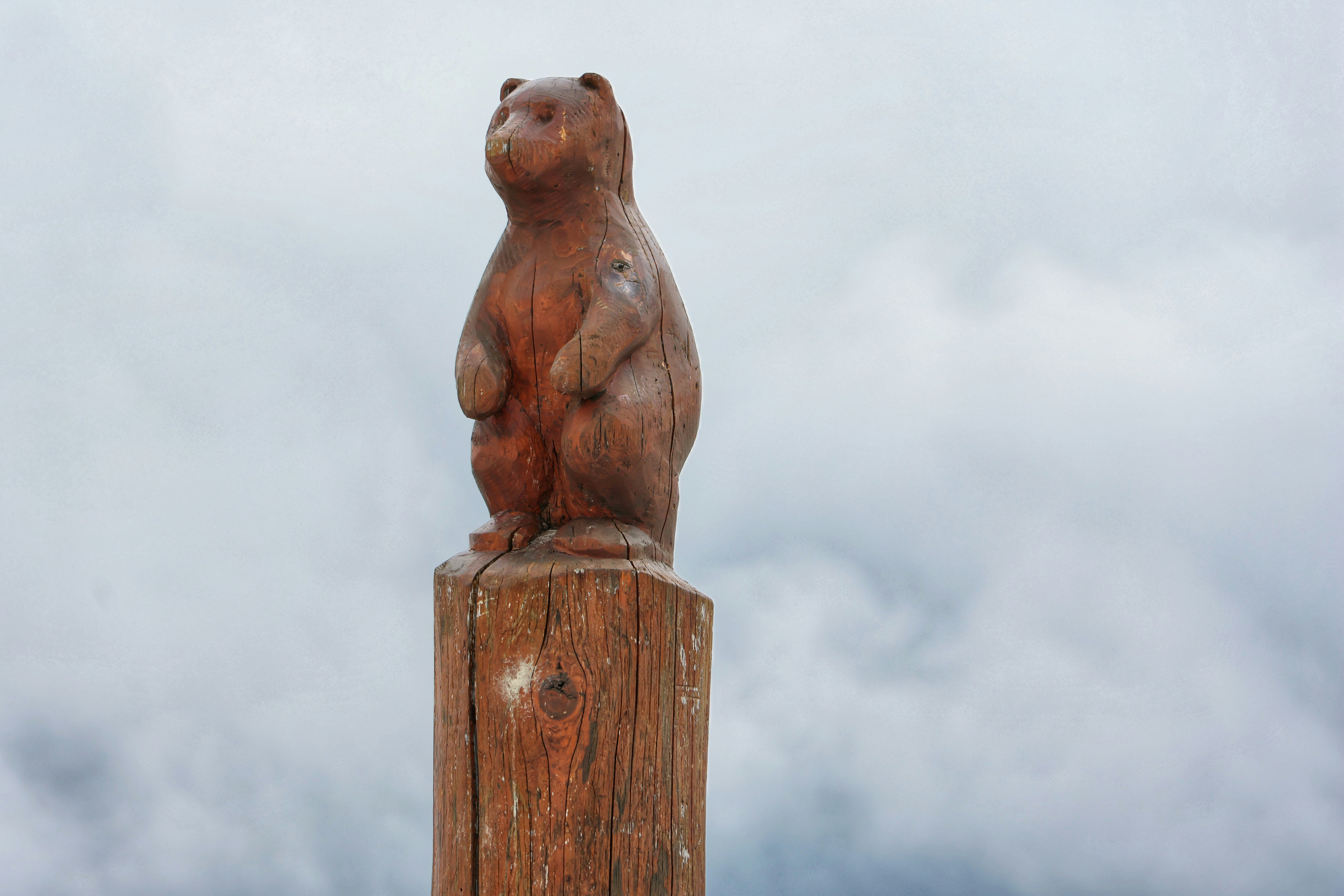 Eine geschnitzte hölzerne Bärenstatue auf einem Pfosten