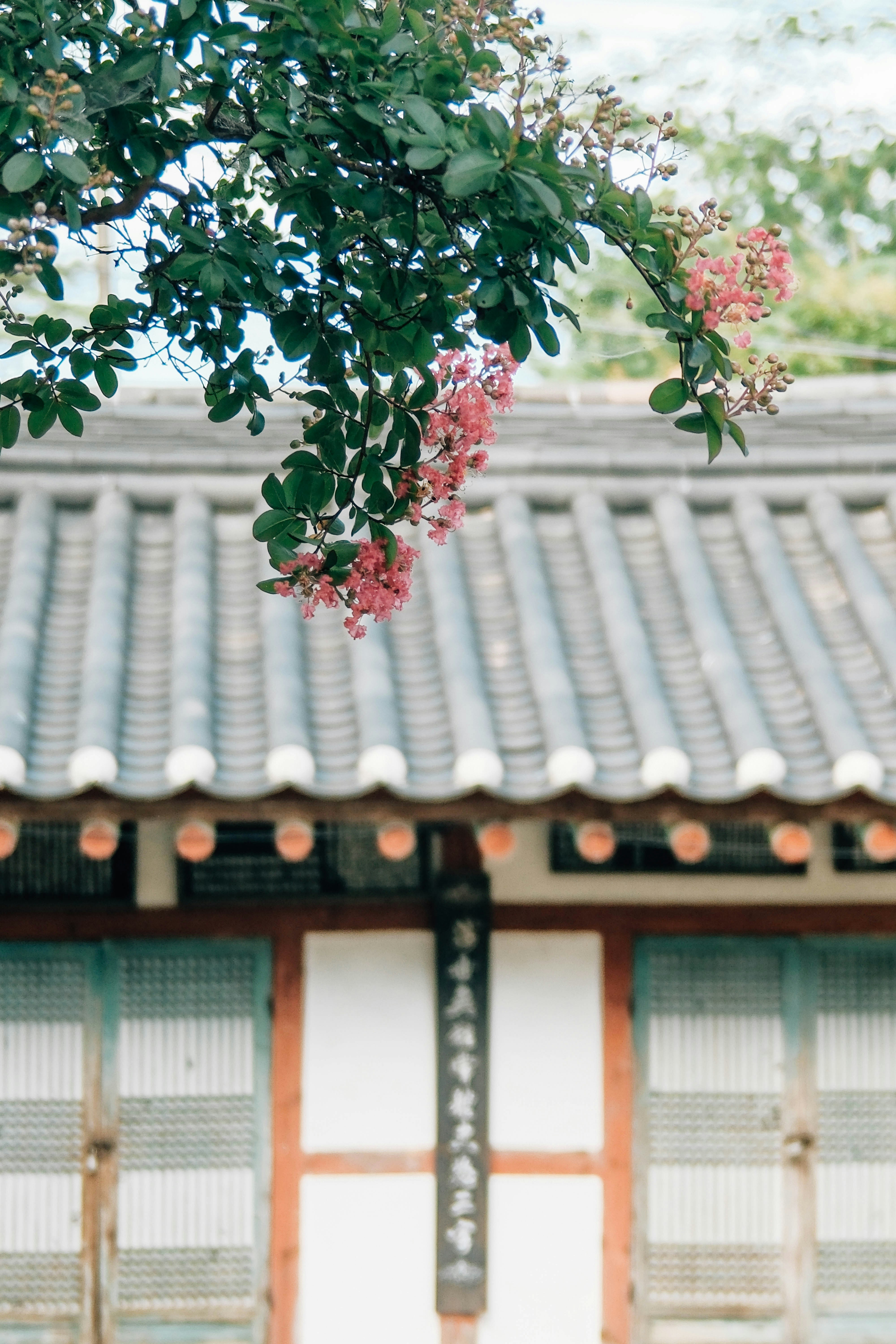 Day 5: Mountains, Markets, and the Han River