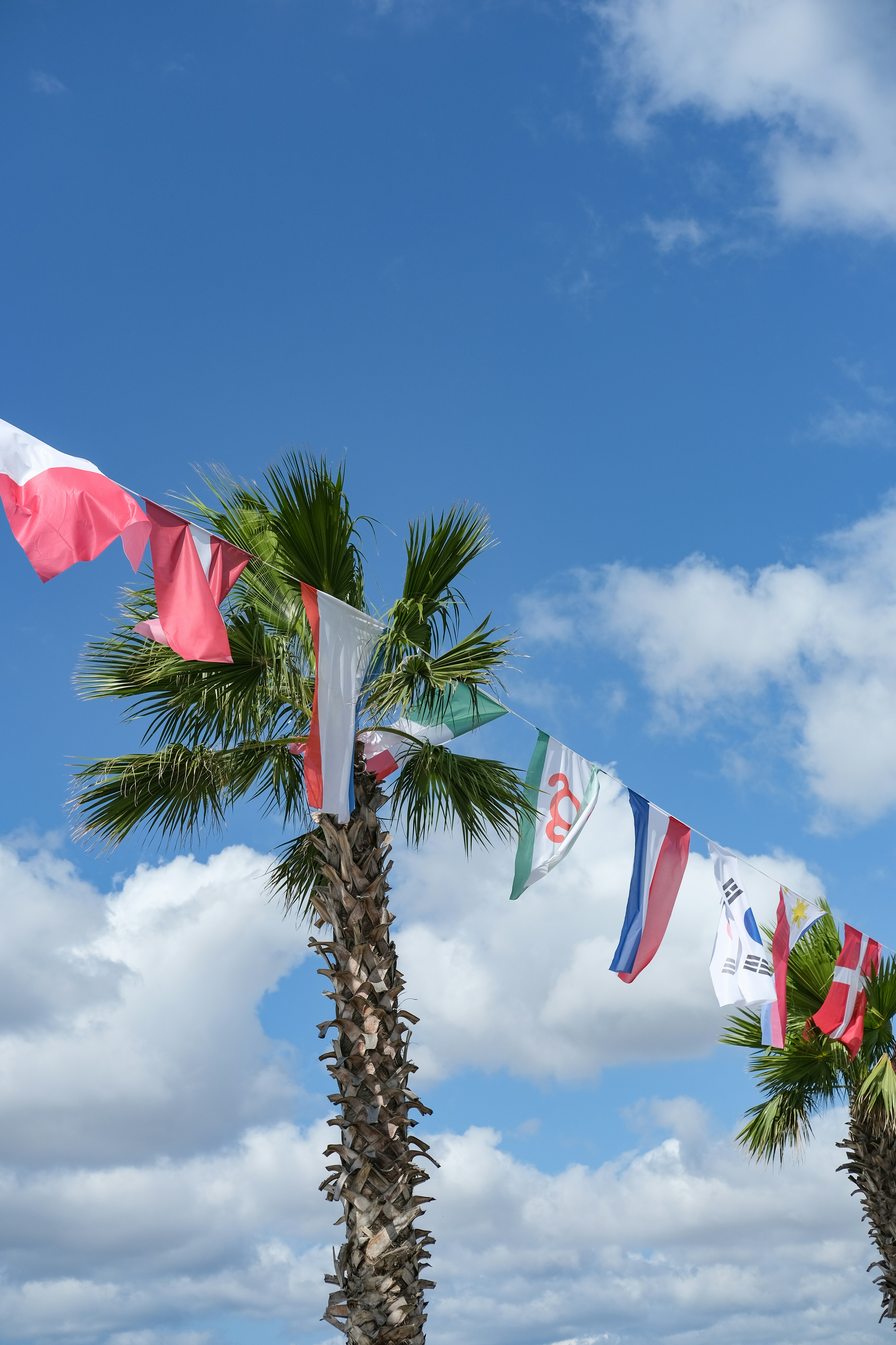 Des drapeaux colorés suspendus entre des palmiers, ciel bleu