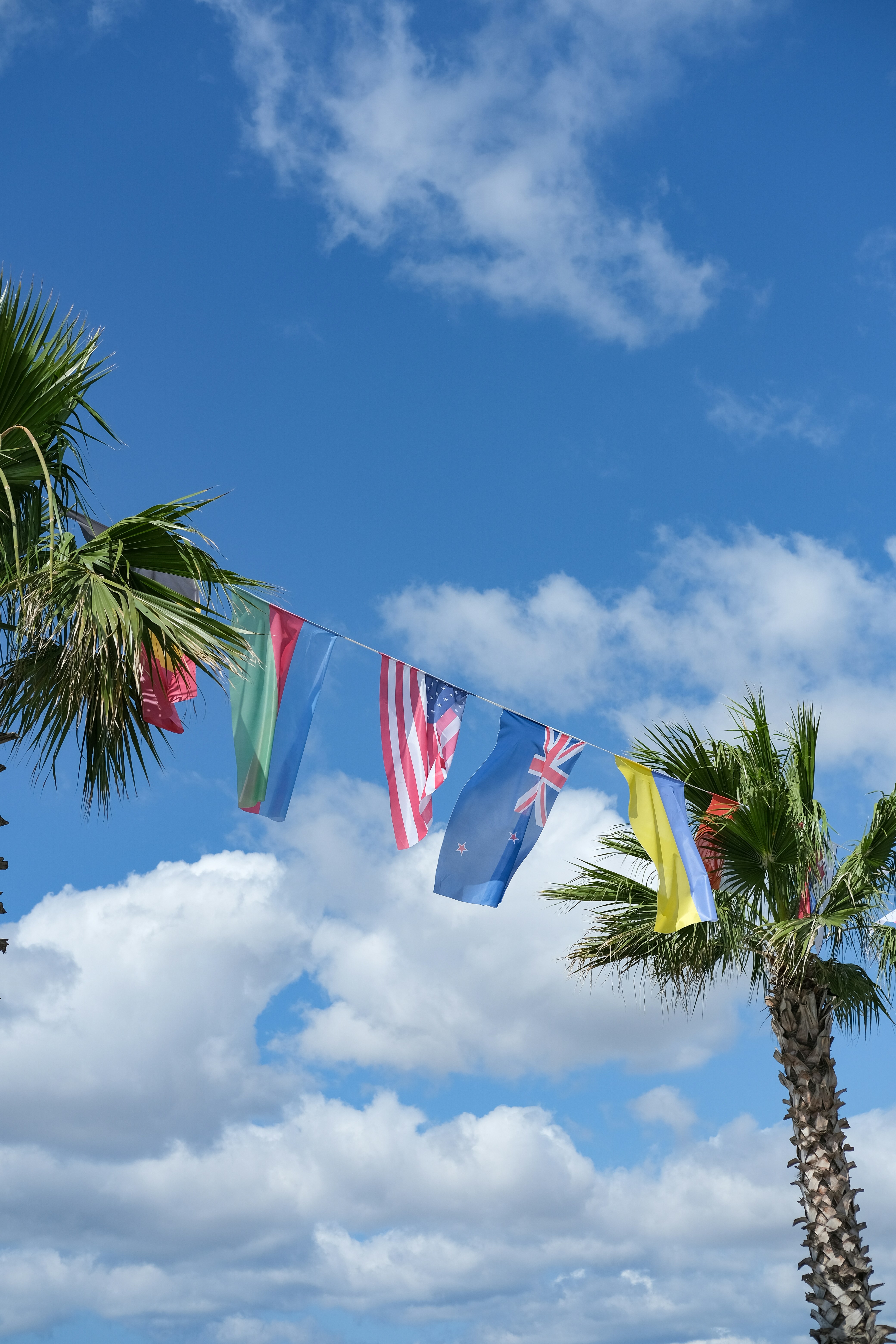 Des drapeaux colorés suspendus entre des palmiers sous un ciel bleu
