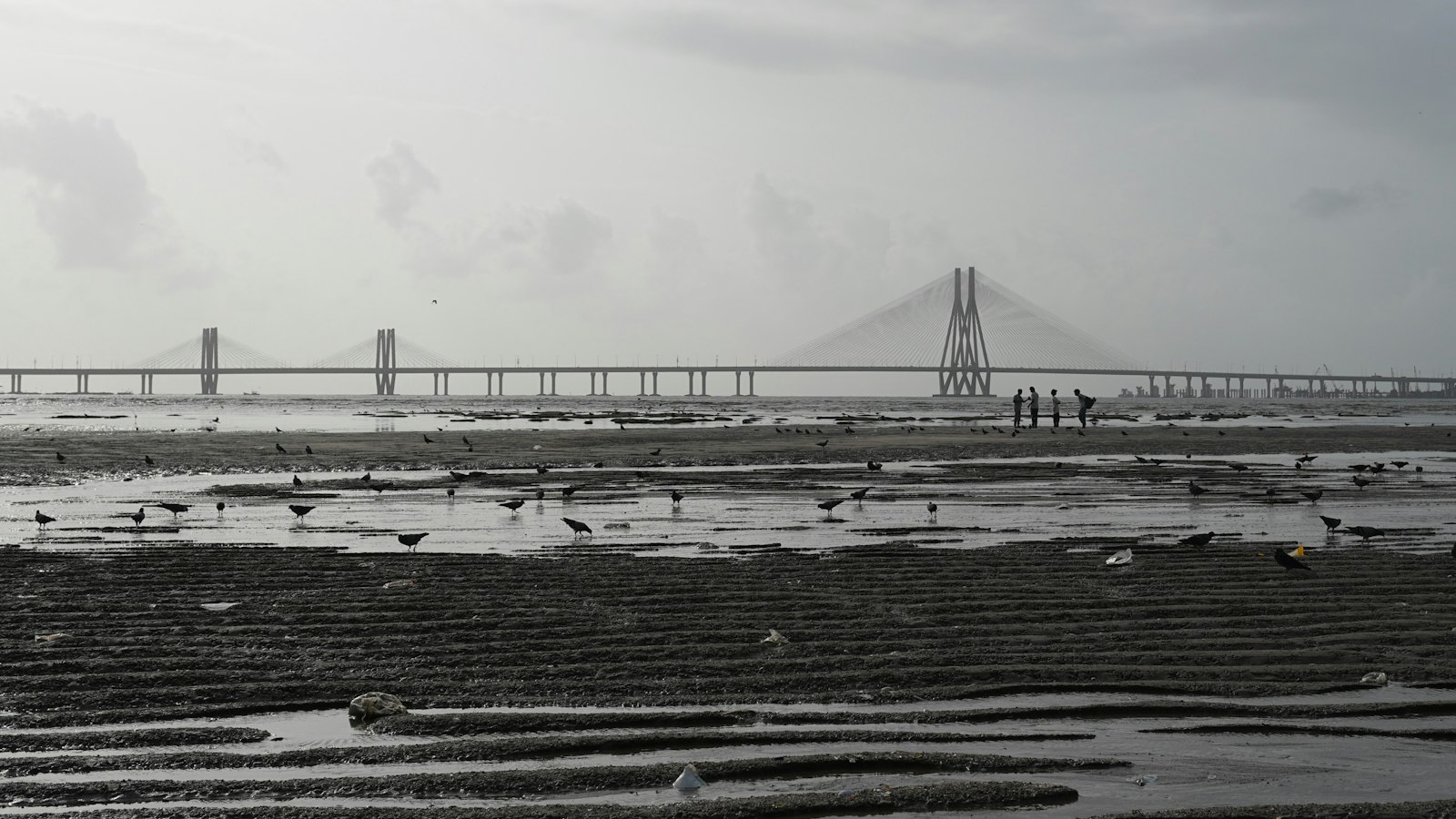 Bandra-Worli Sea Link