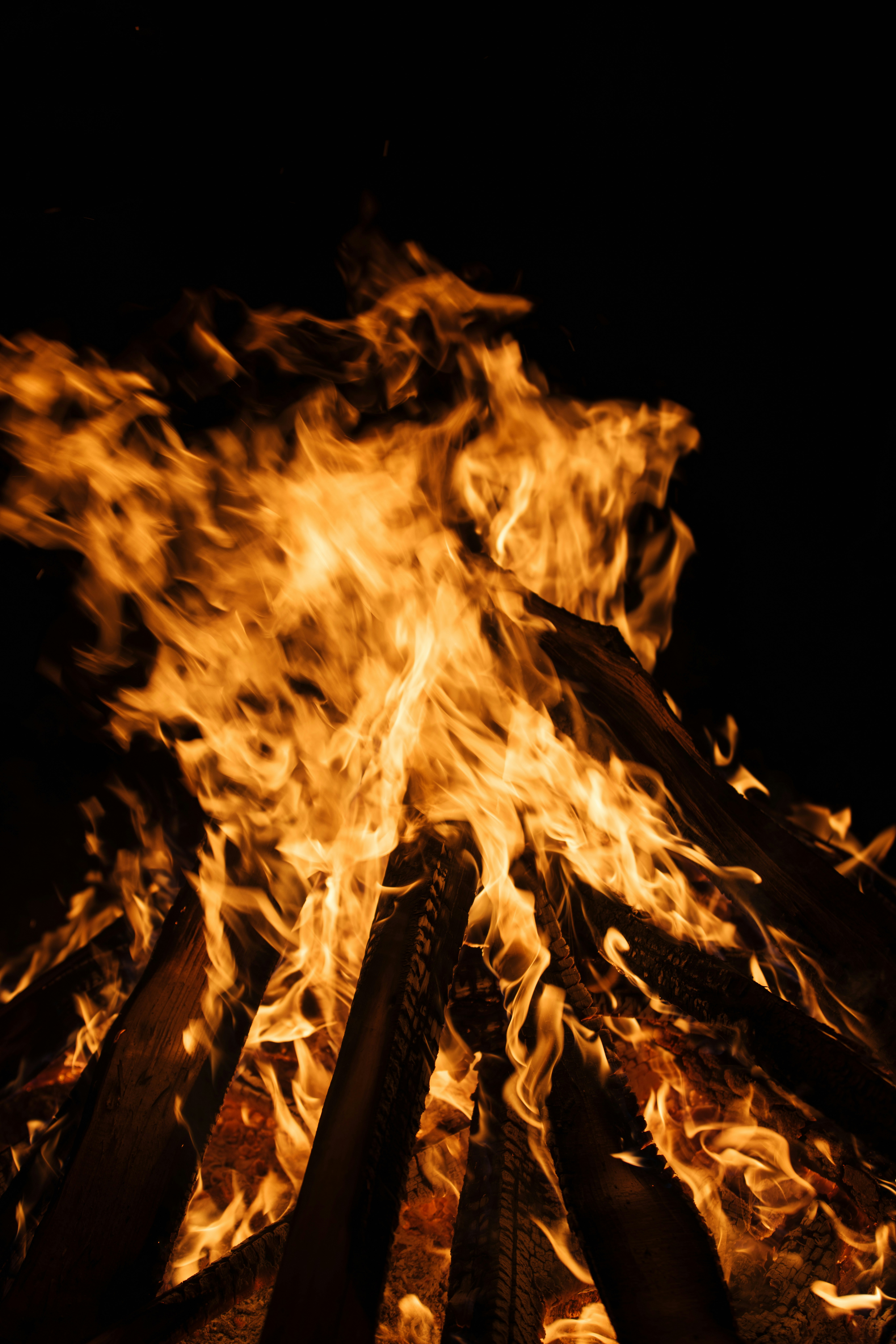 Des flammes orange intenses comme des feux de camp brillent intensément contre une nuit sombre.
