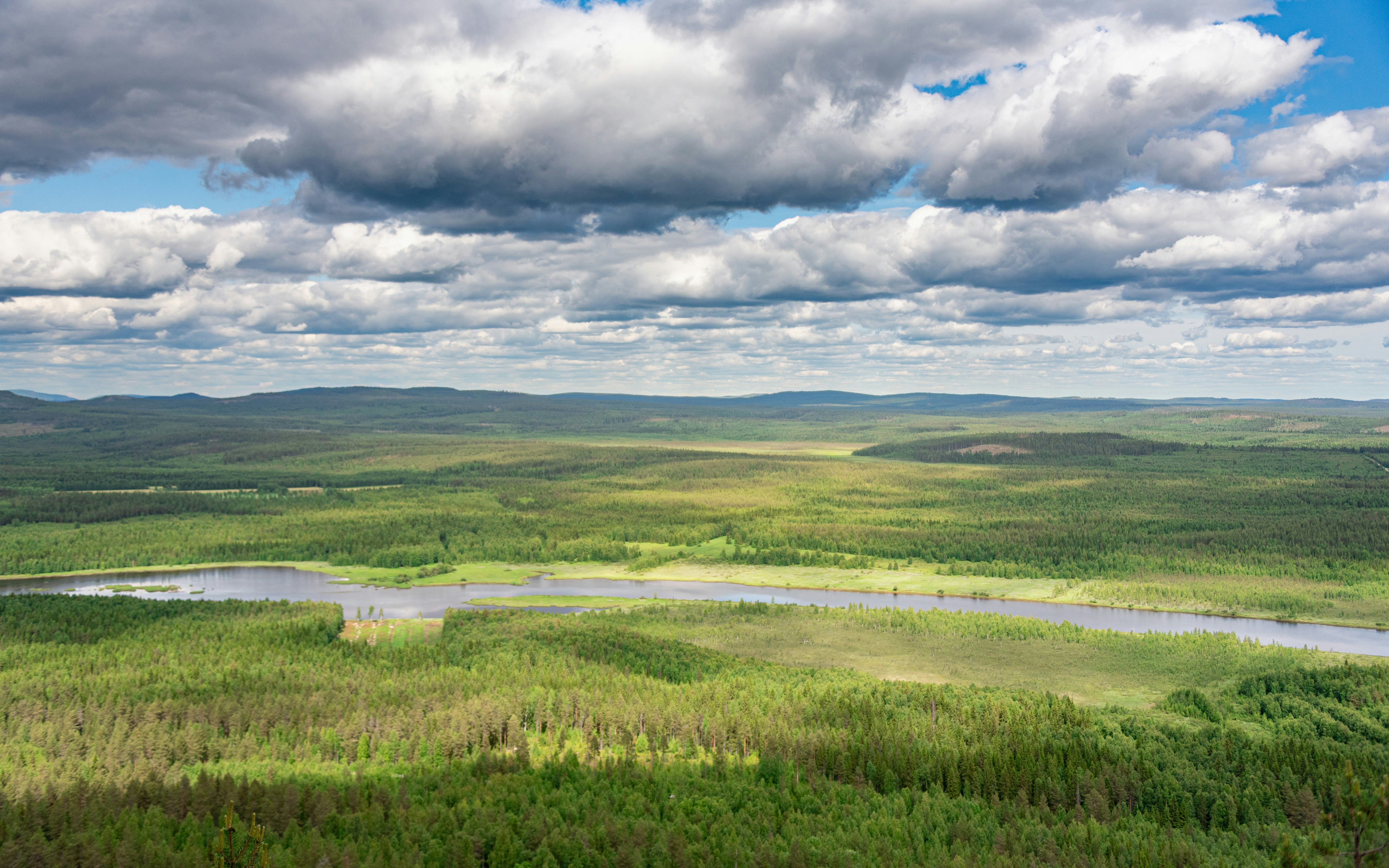 Vast green landscape with a winding river under cloudy sky