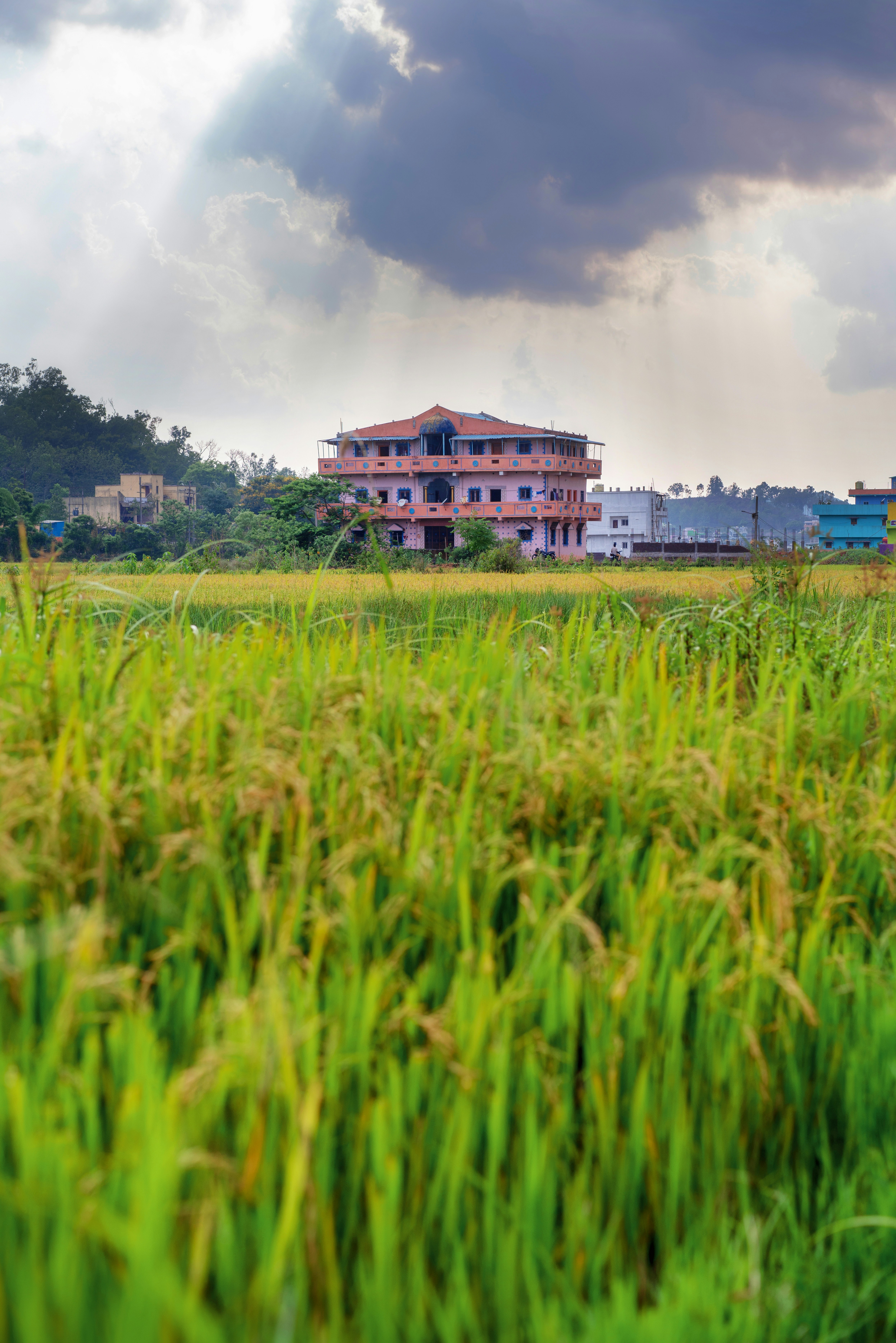 Green field with a pink building under a cloudy sky.