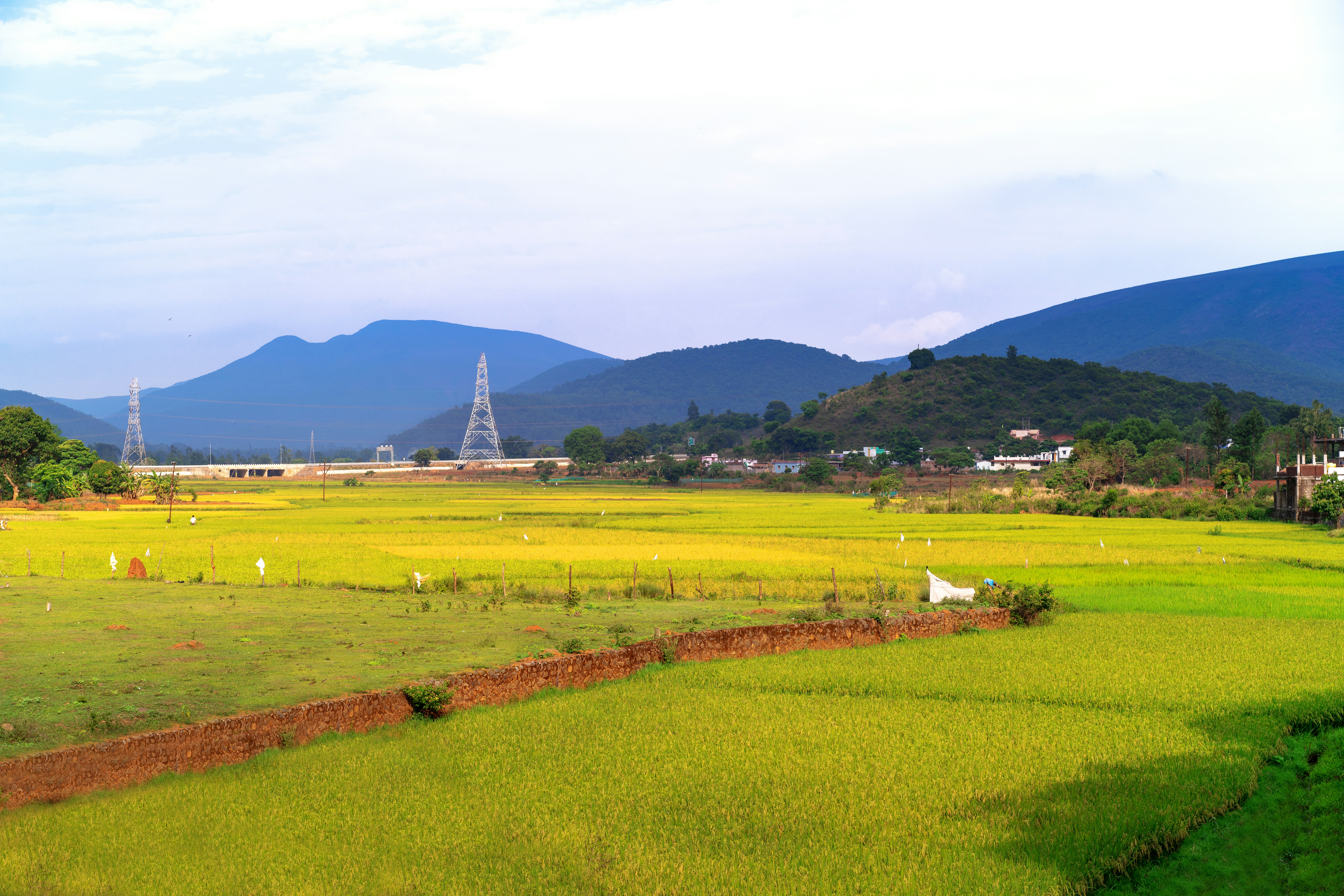 Green fields stretch towards distant mountains with power lines.