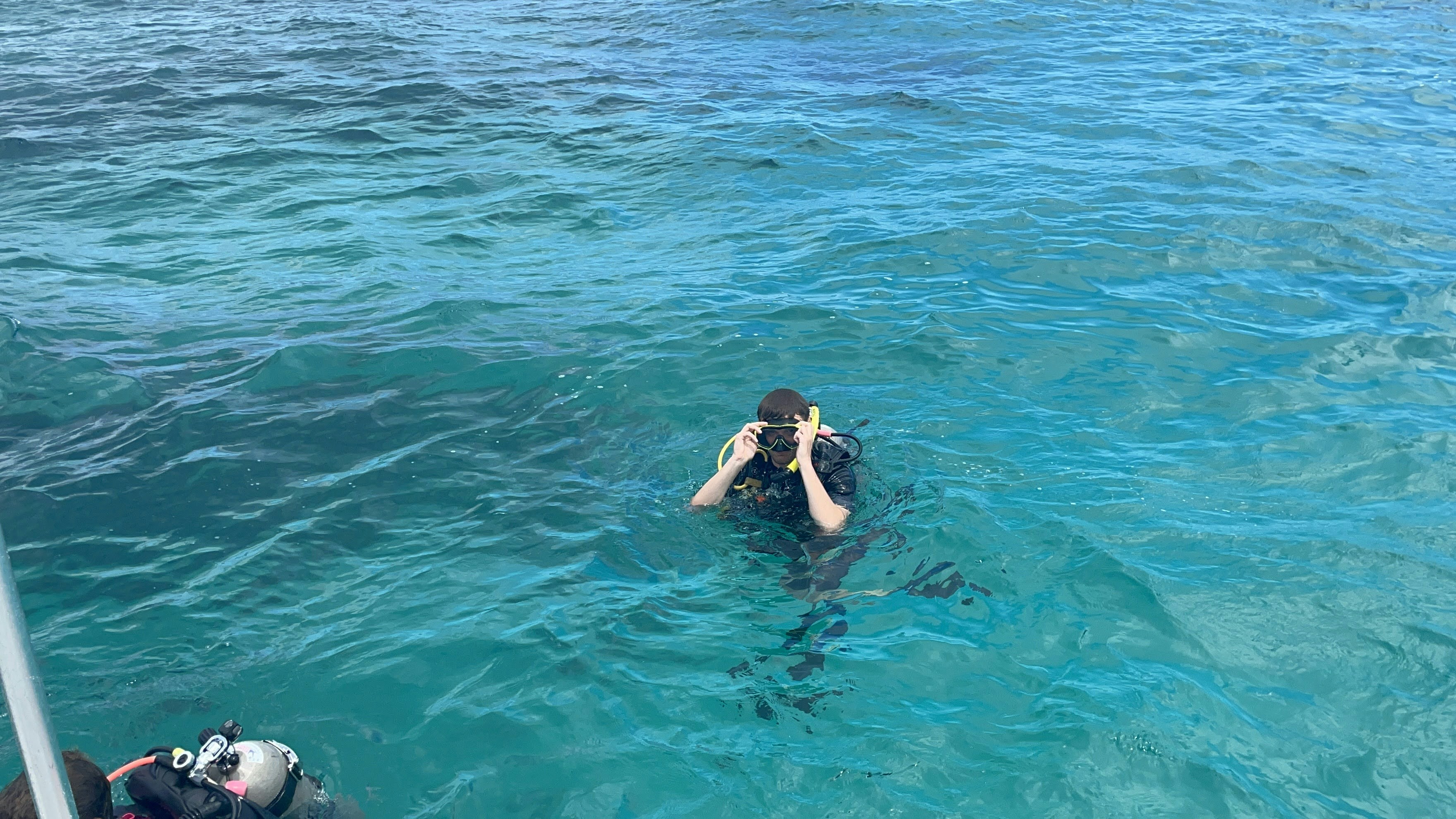 Diving!!