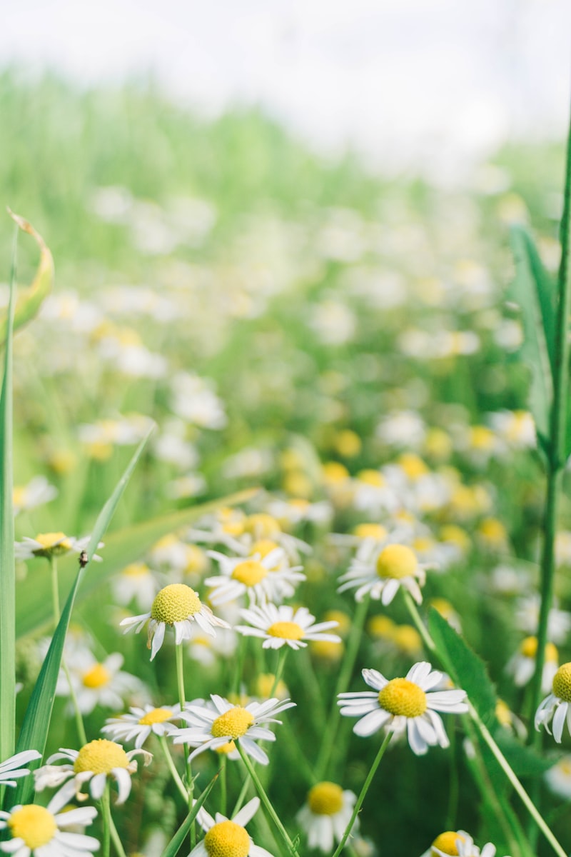 Senior woman walking confidently outdoors in nature