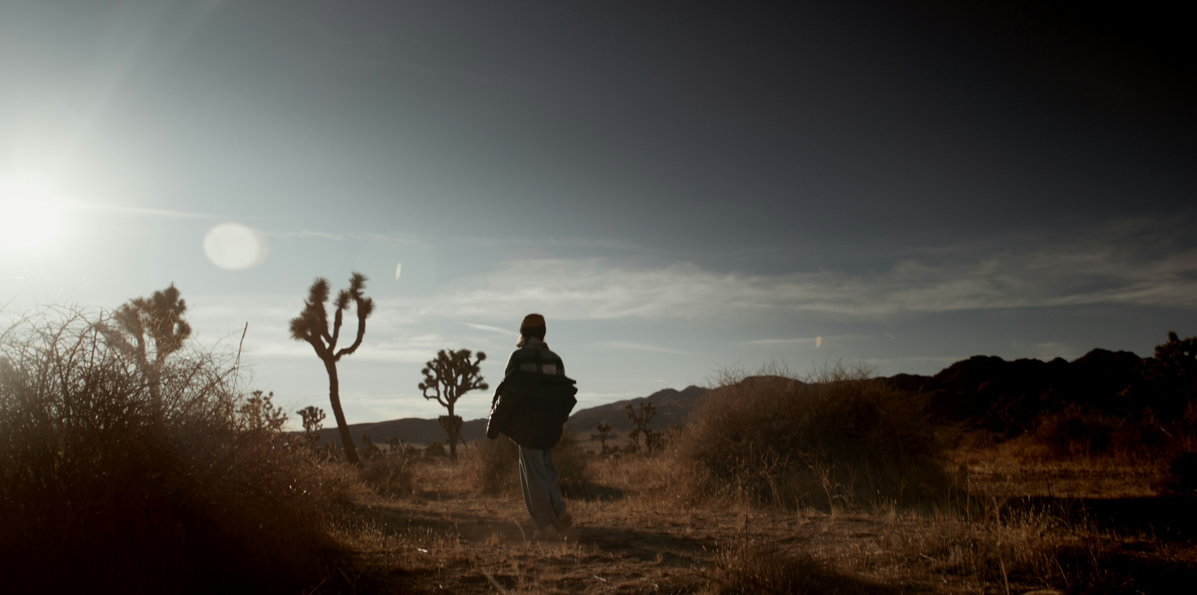 Silhouetted person walks through desert with joshua trees