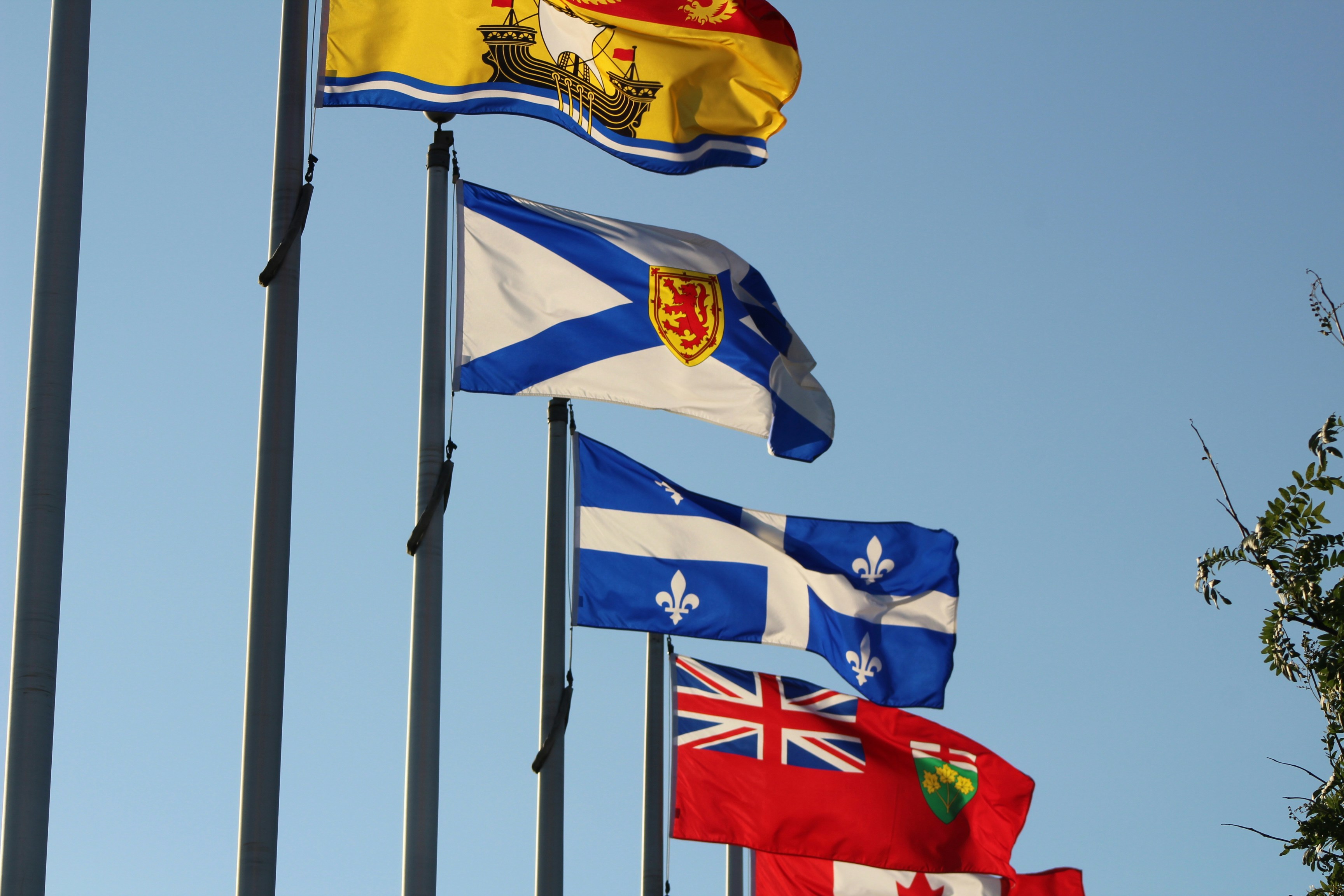 Drapeaux provinciaux canadiens flottant sous un ciel bleu clair