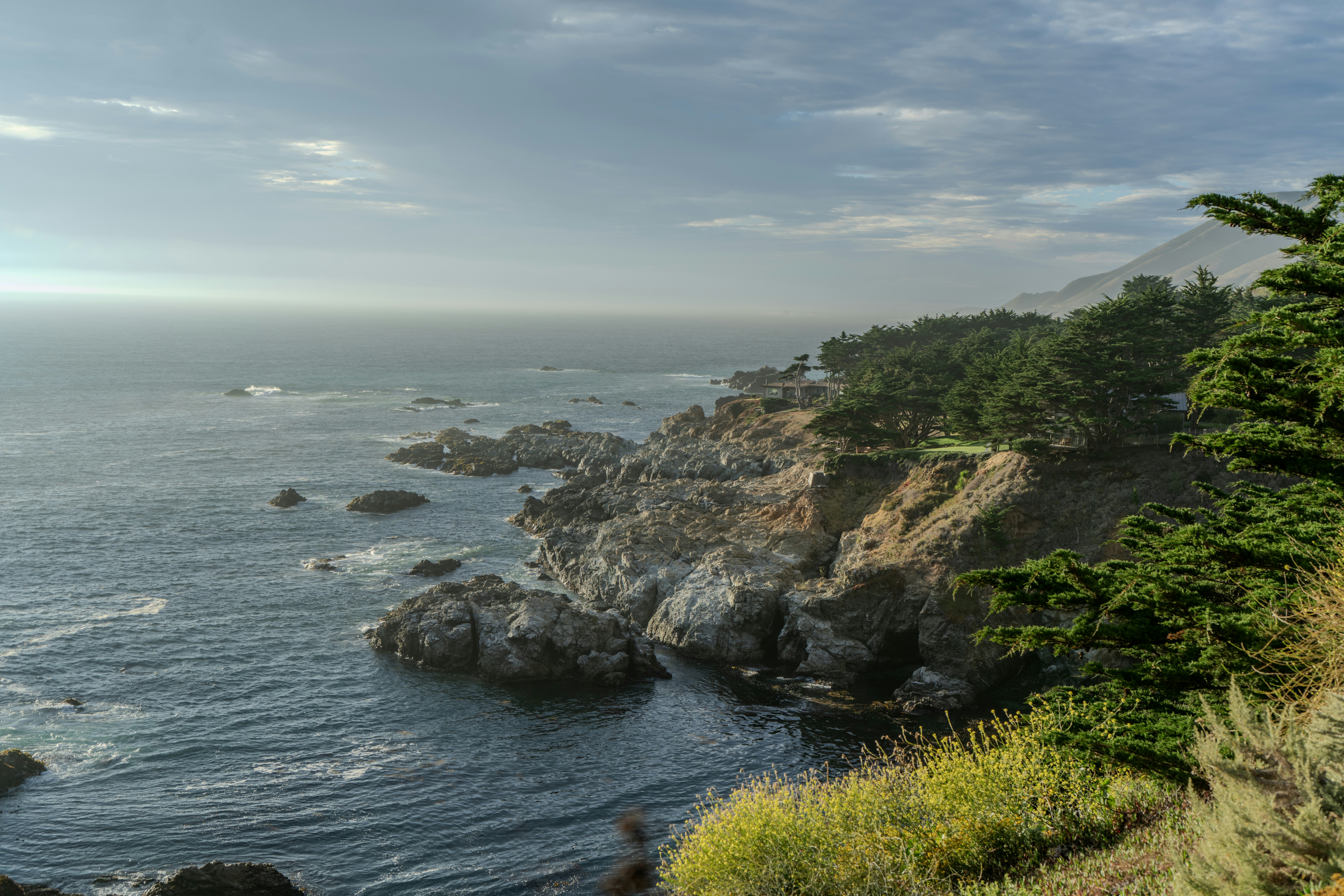 Crashing ocean waves against a rocky coast with green trees