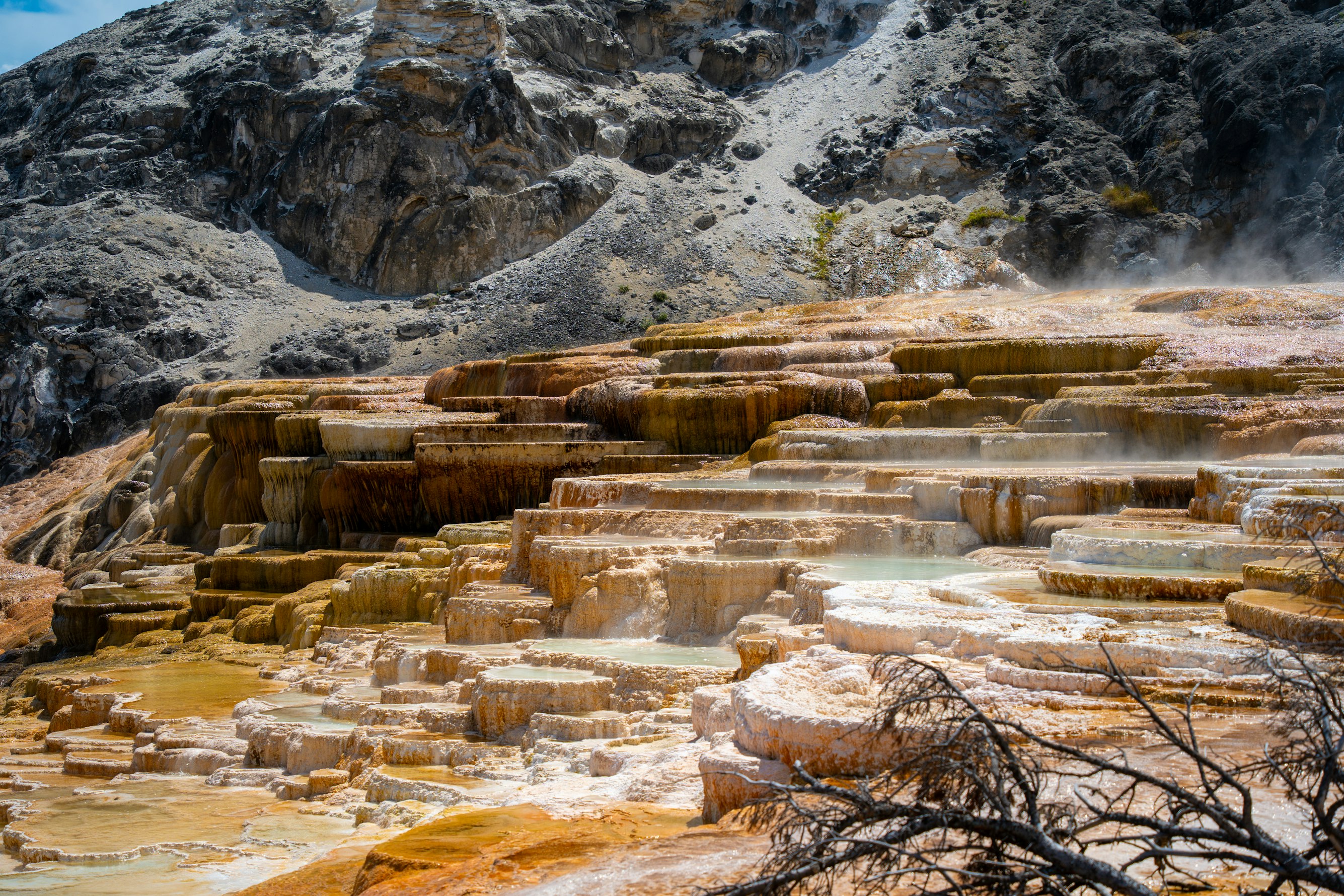 San Francisco to Yellowstone: A Photography Journey