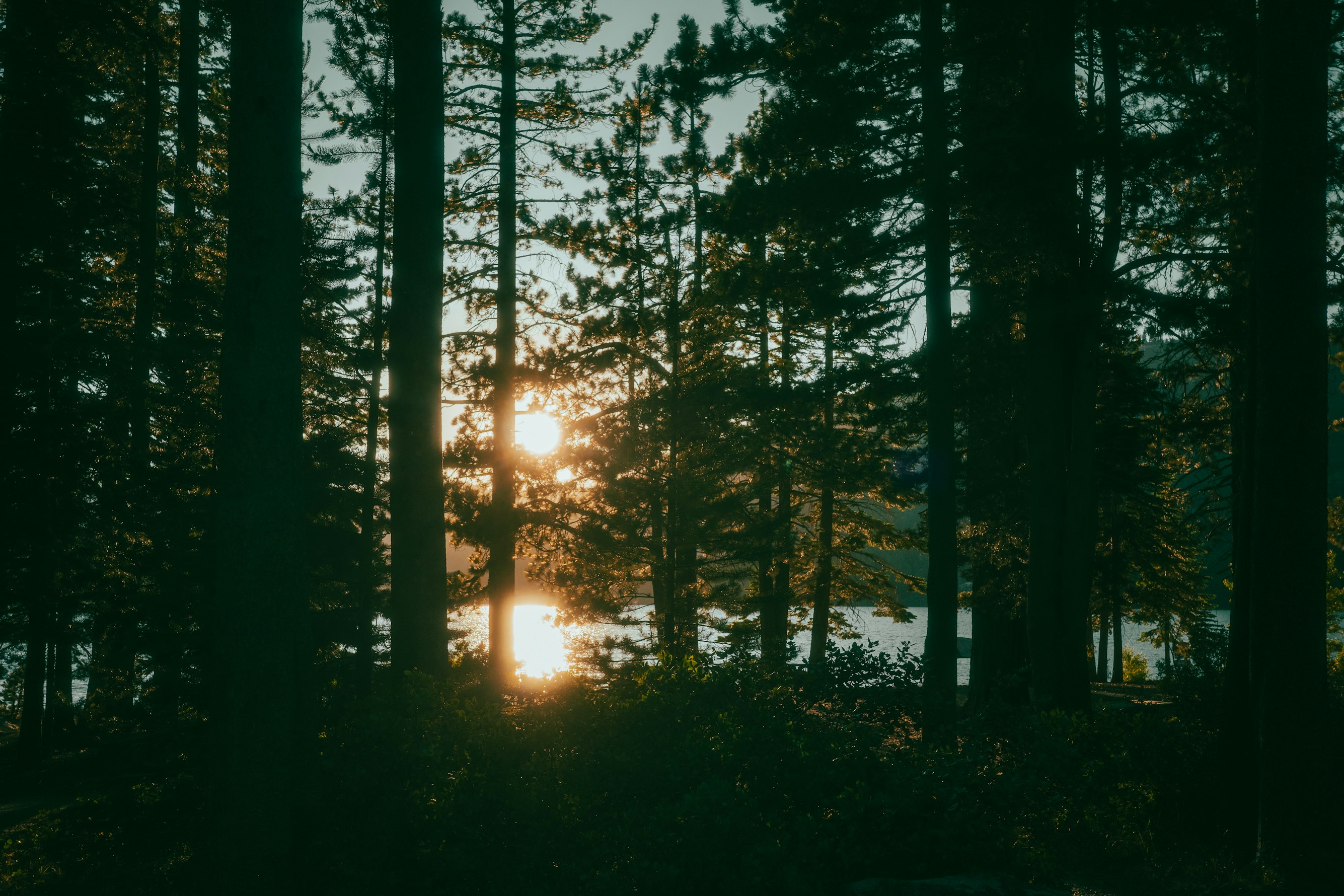 San Francisco to Yellowstone: A Photography Journey