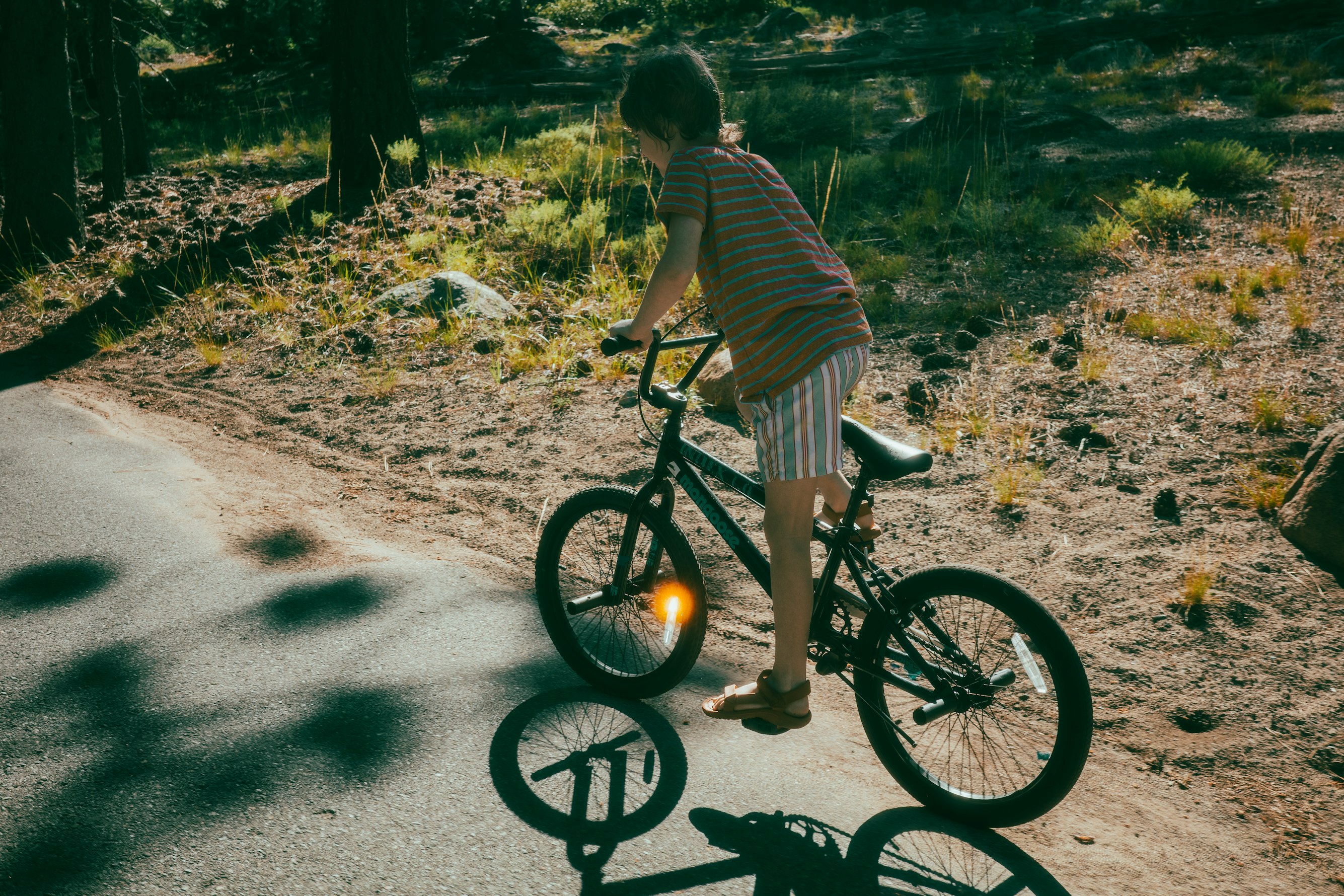 San Francisco to Yellowstone: A Photography Journey