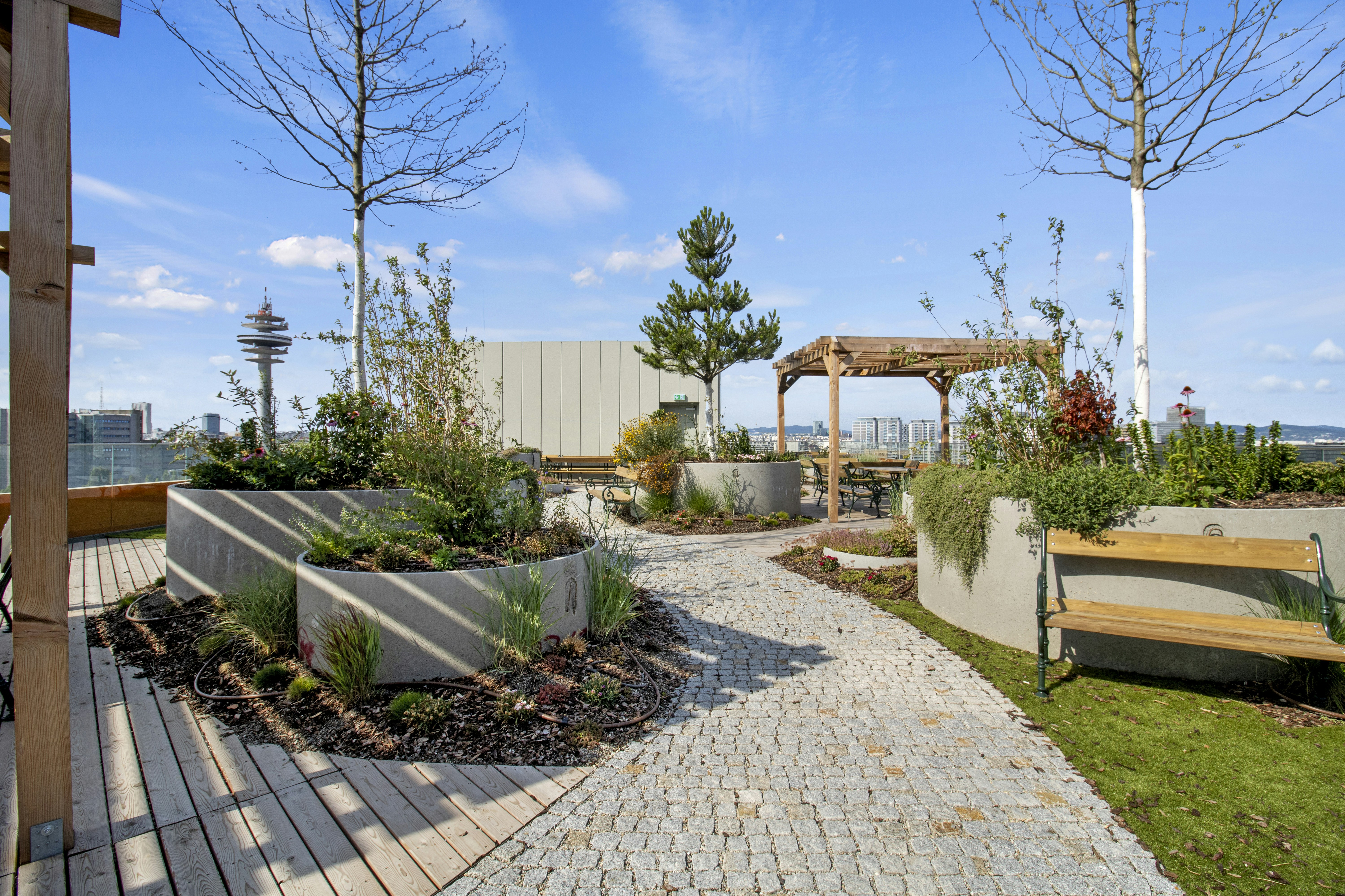 A rooftop garden with planters and a wooden pergola