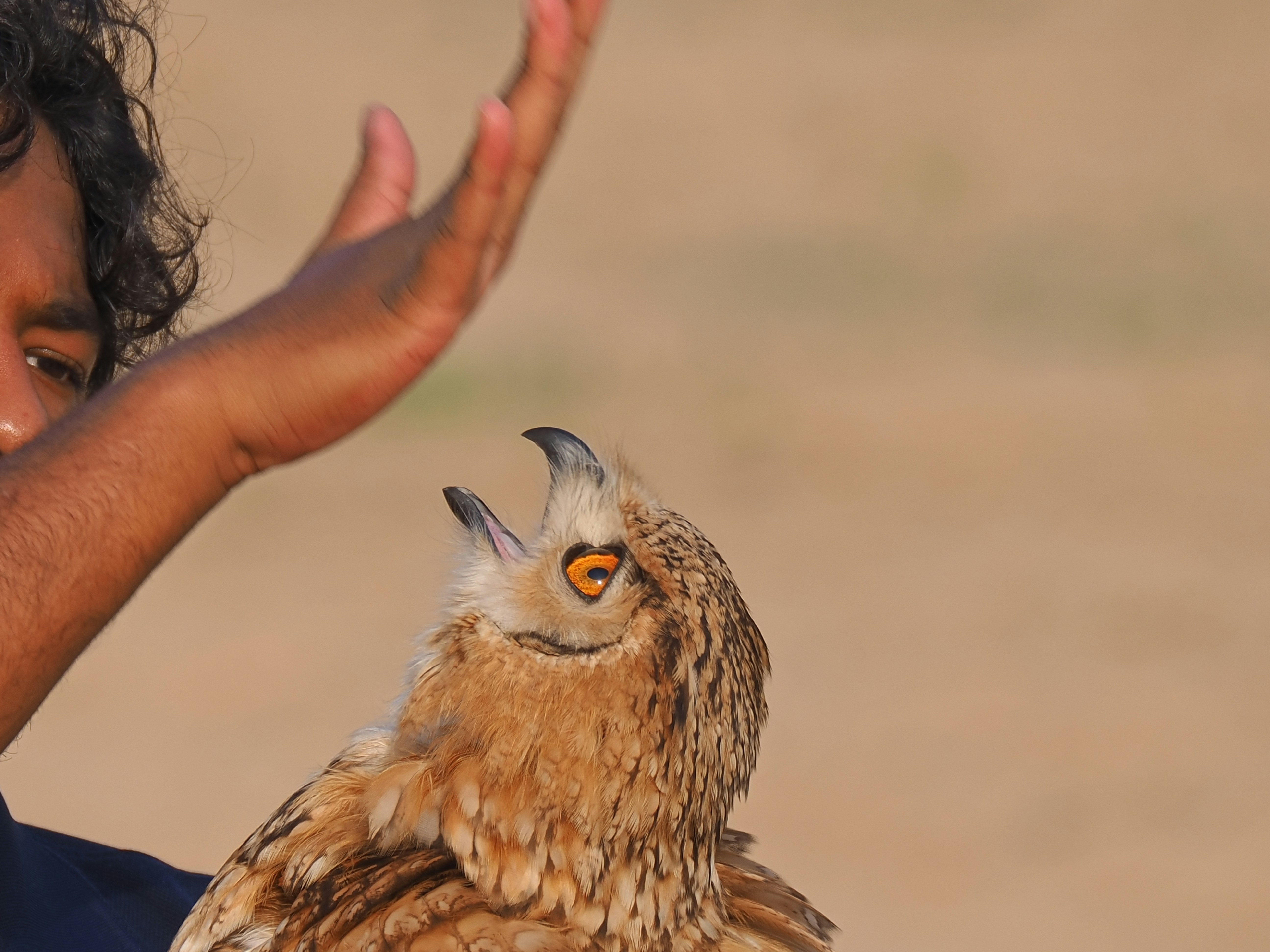 A person holds an owl with its beak open