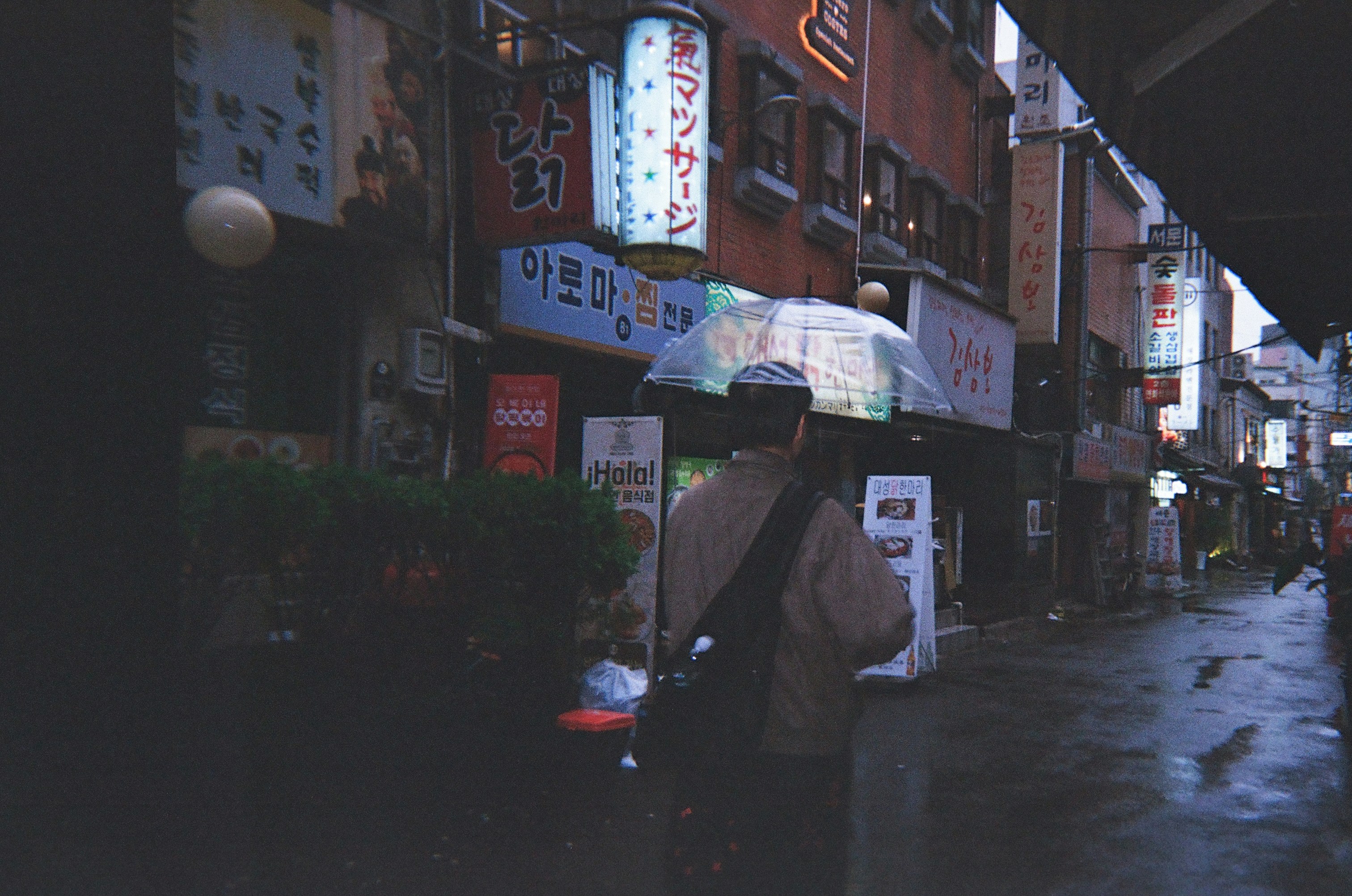 heavy rain umbrella korean street