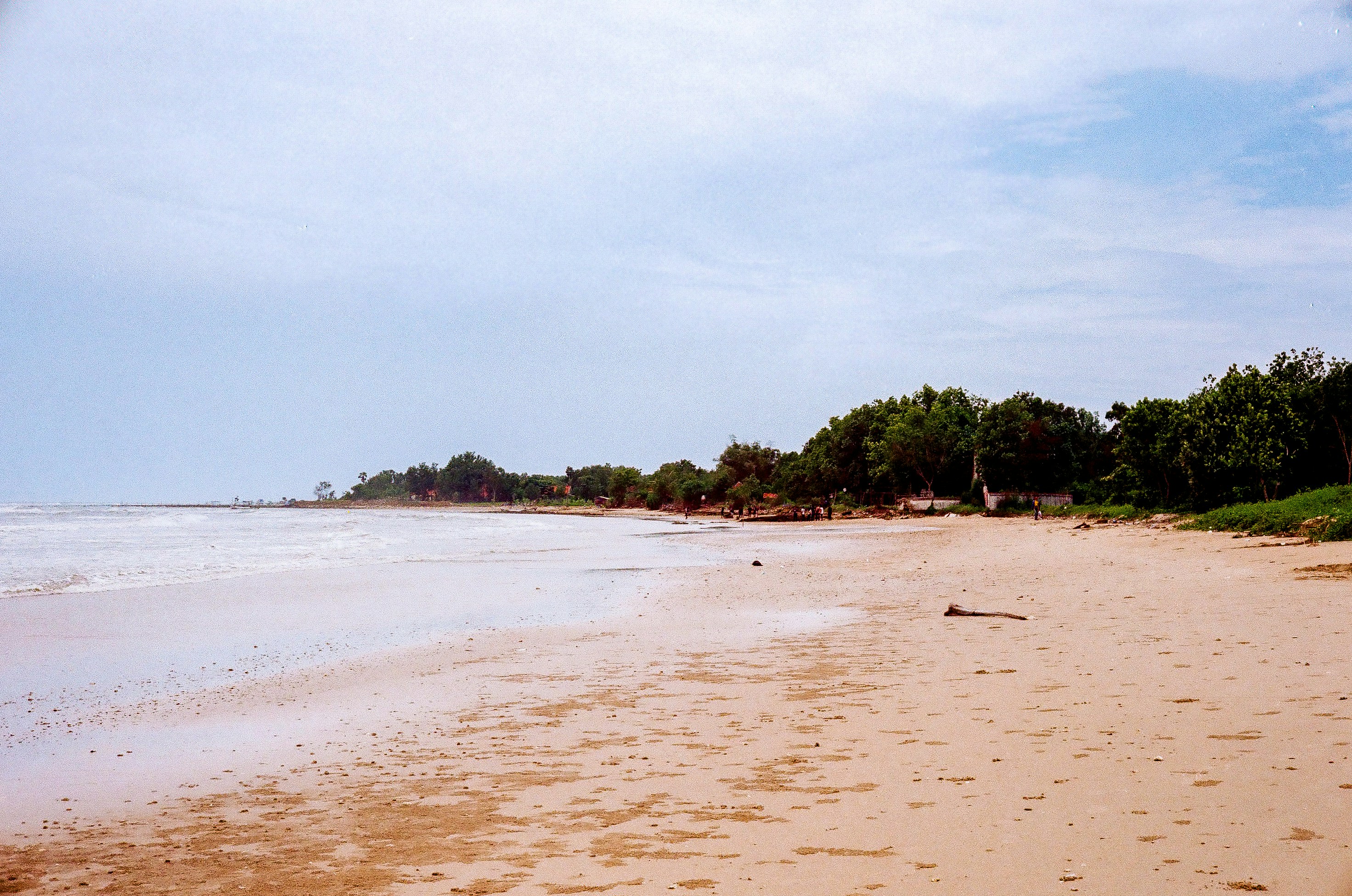 A sandy beach with ocean waves and green trees