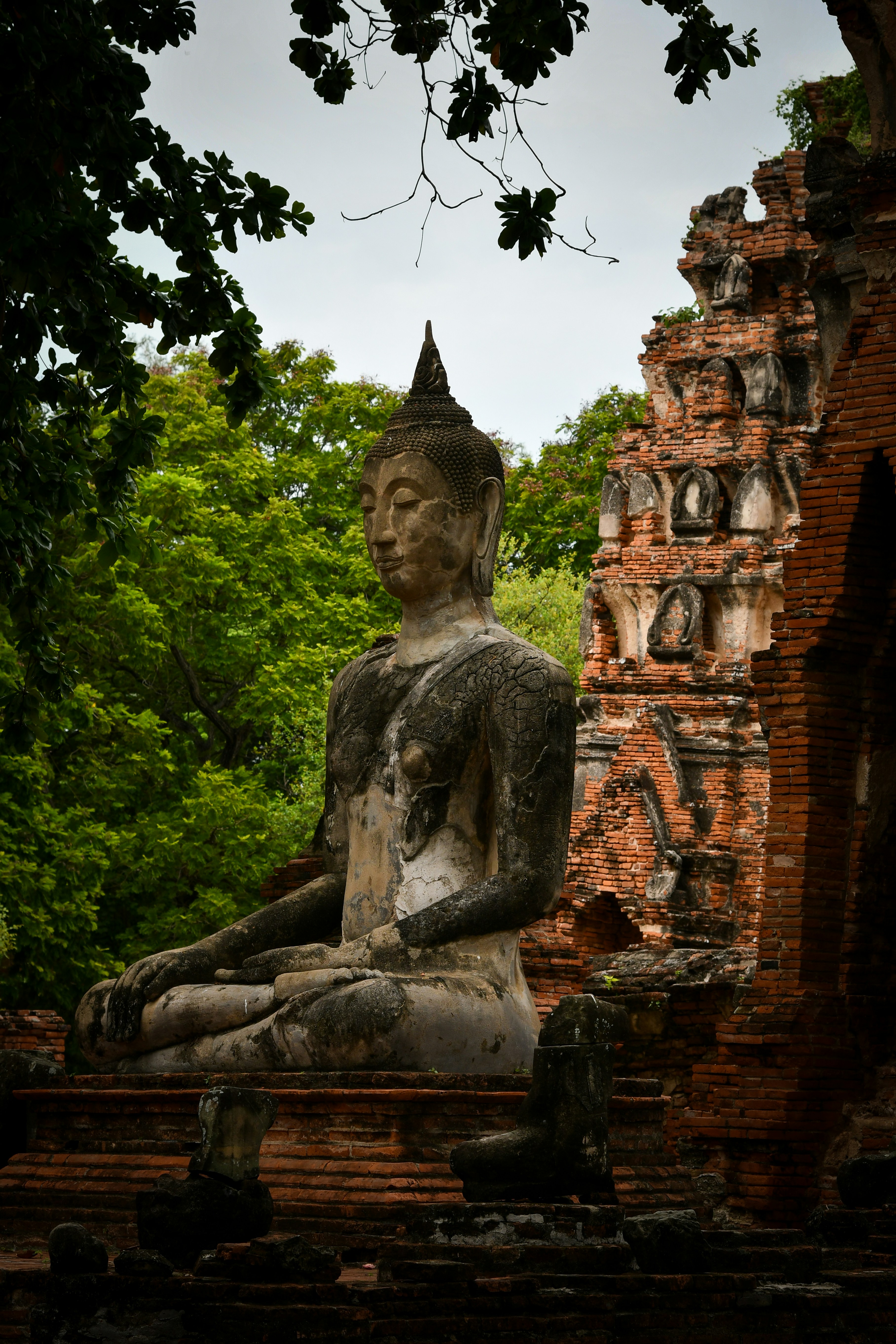 Ancient buddha statue meditating amidst temple ruins and green trees.