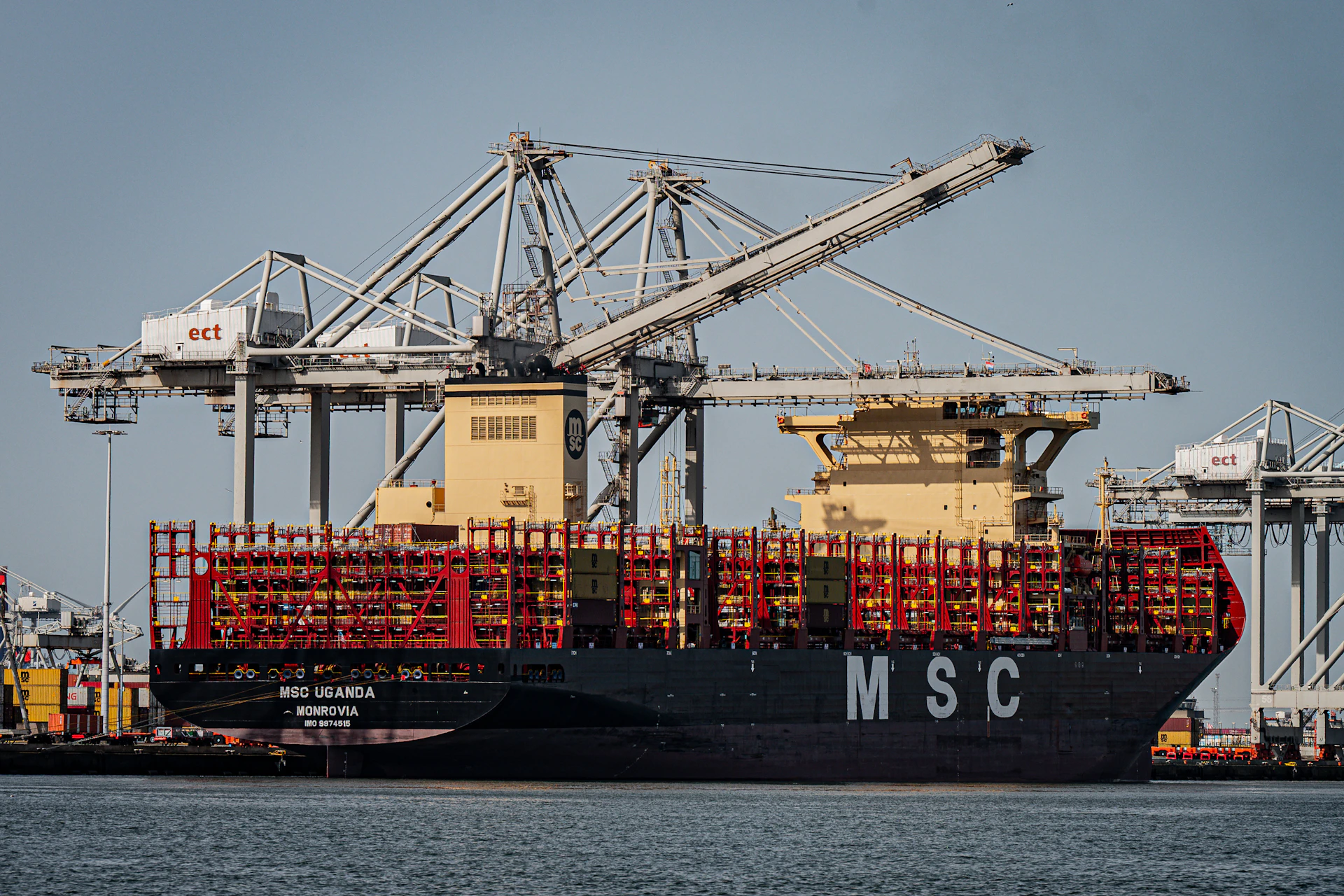 Large msc container ship docked at port with cranes.