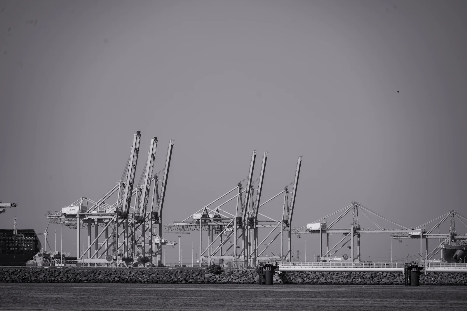 Industrial cranes and cargo operations at a harbor