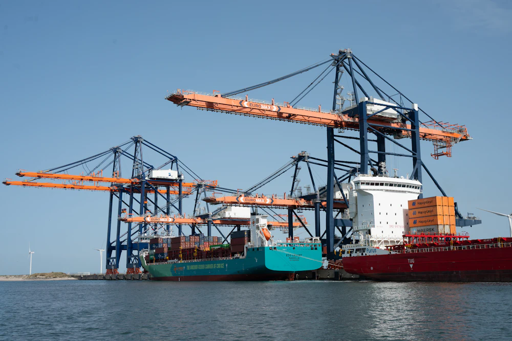 Porte-conteneurs et grues dans un grand port maritime