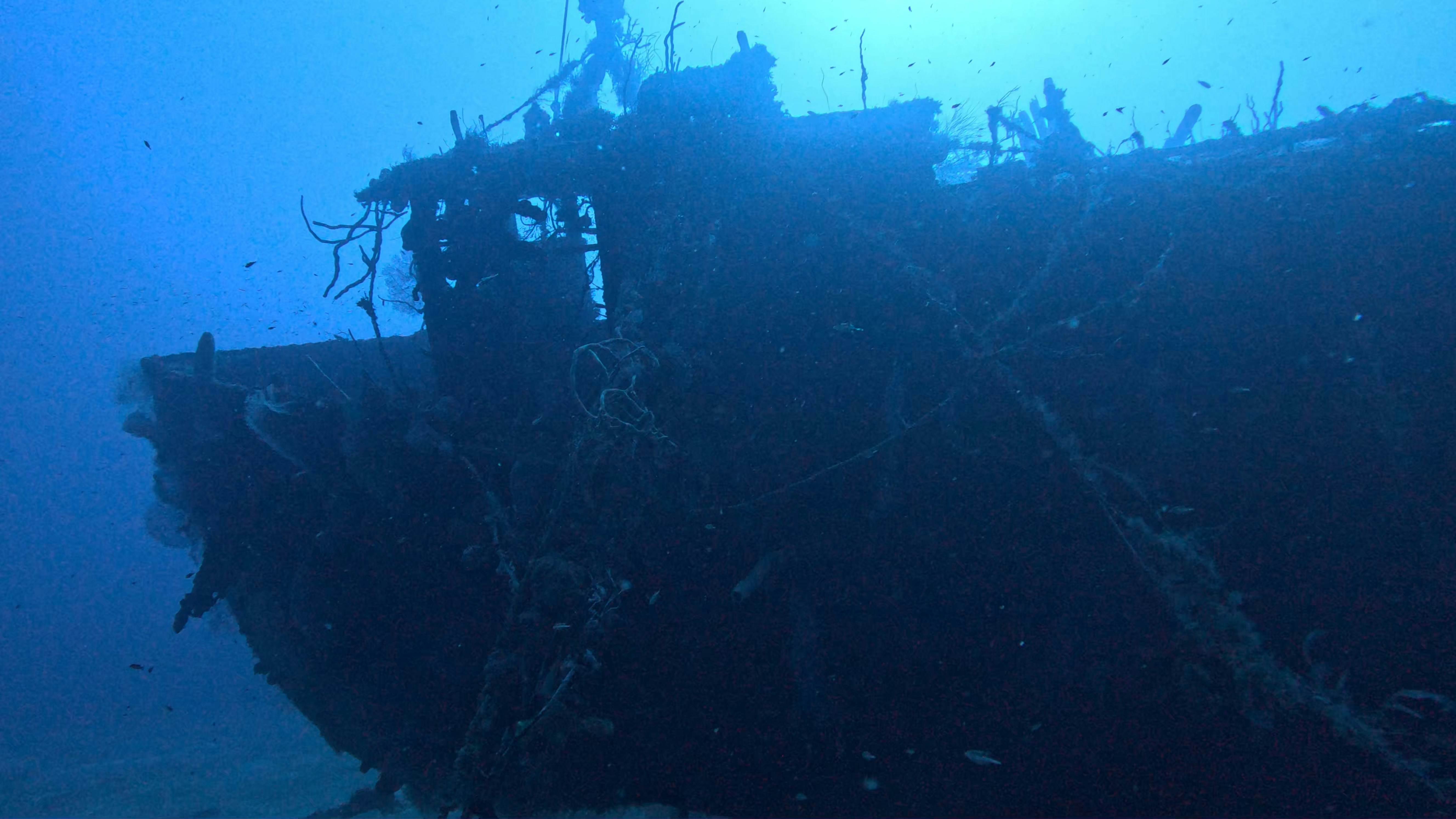 Submerged shipwreck covered in marine growth underwater