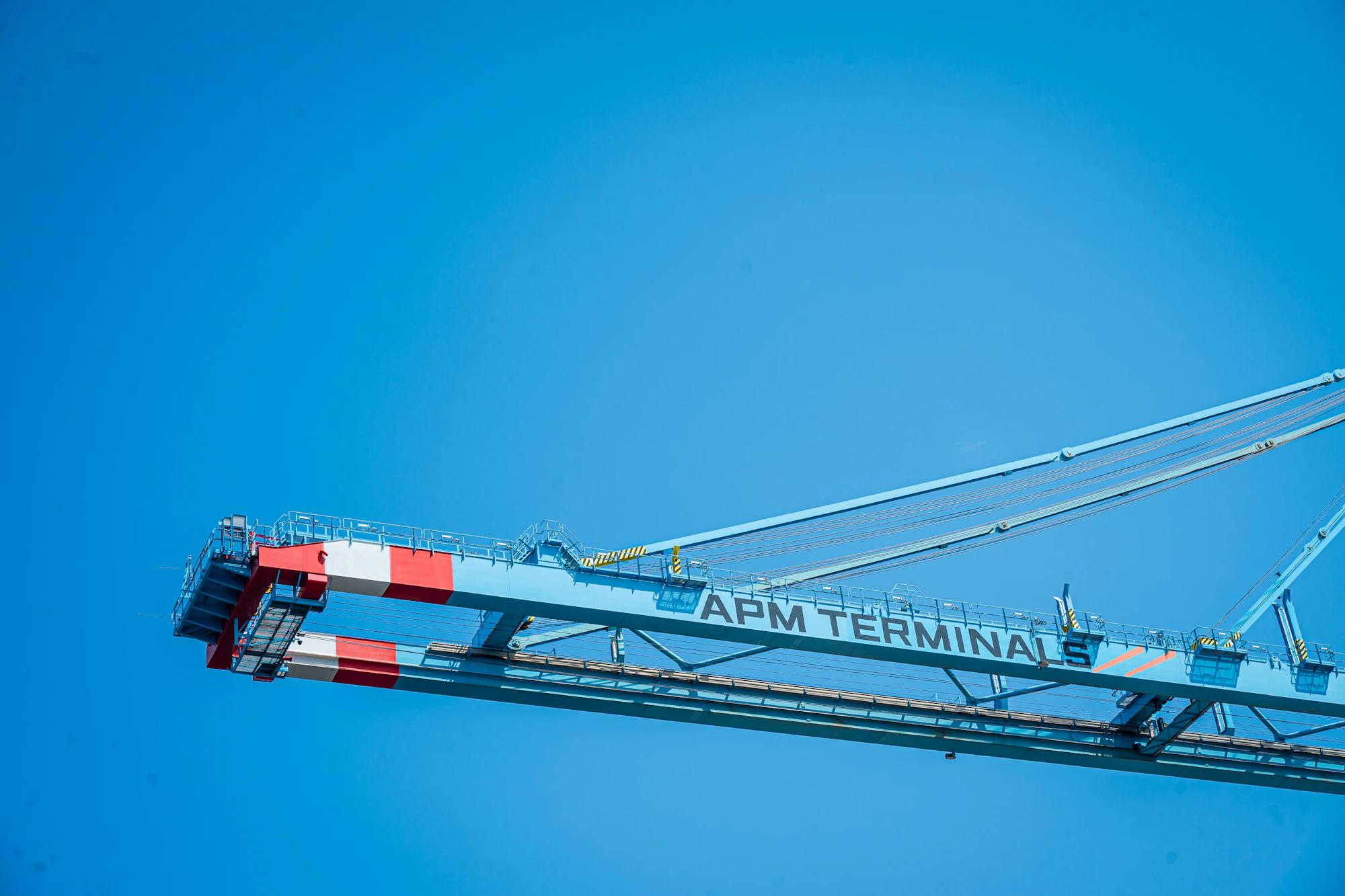 Large blue container terminal cranes against a clear sky