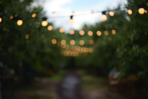 Pathway lights in Muscat