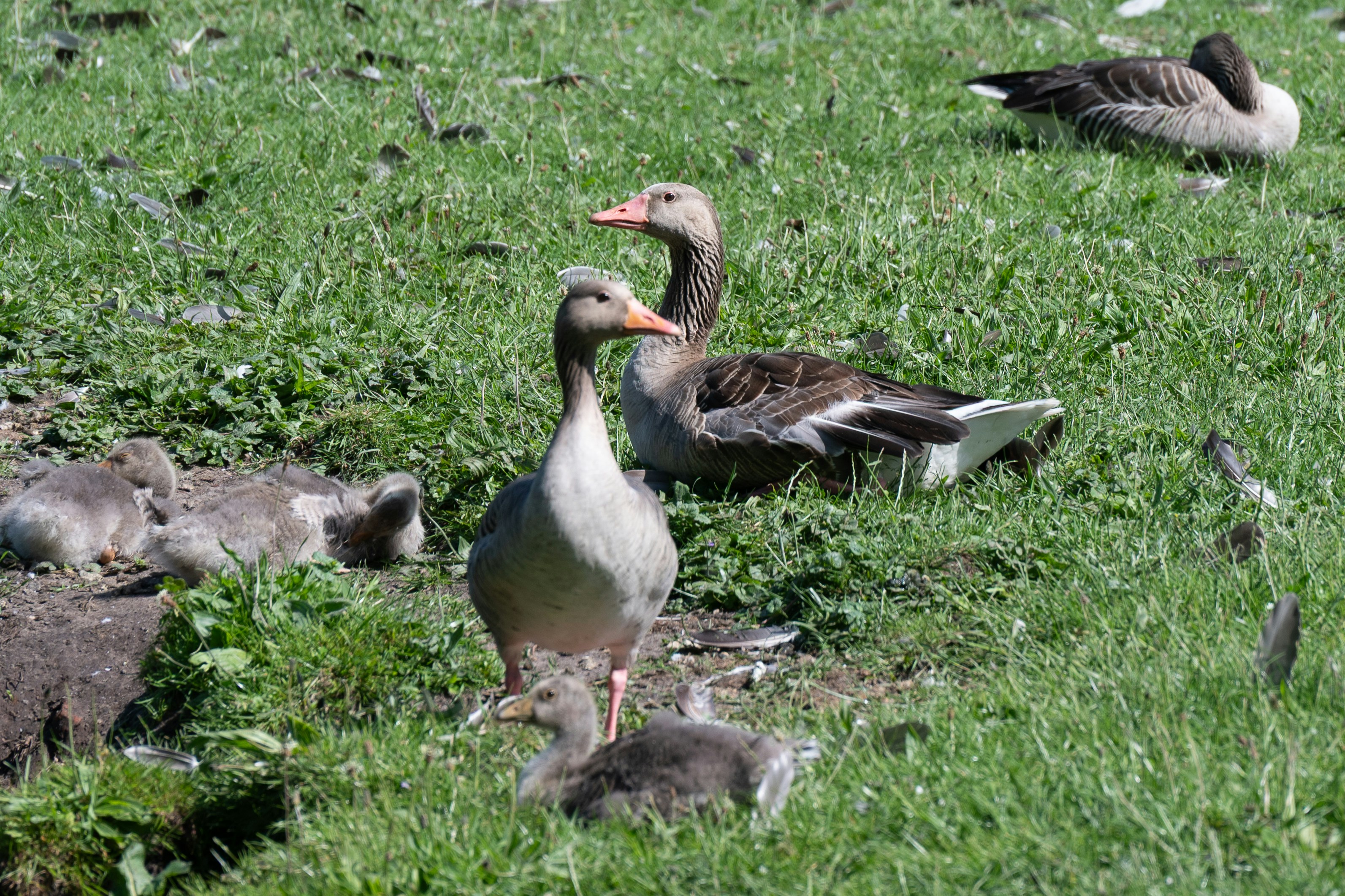 Foto van Wassenaar