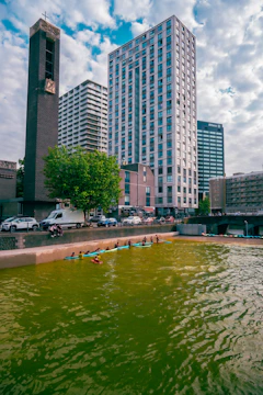 Kayakers paddle on a green urban river with tall buildings