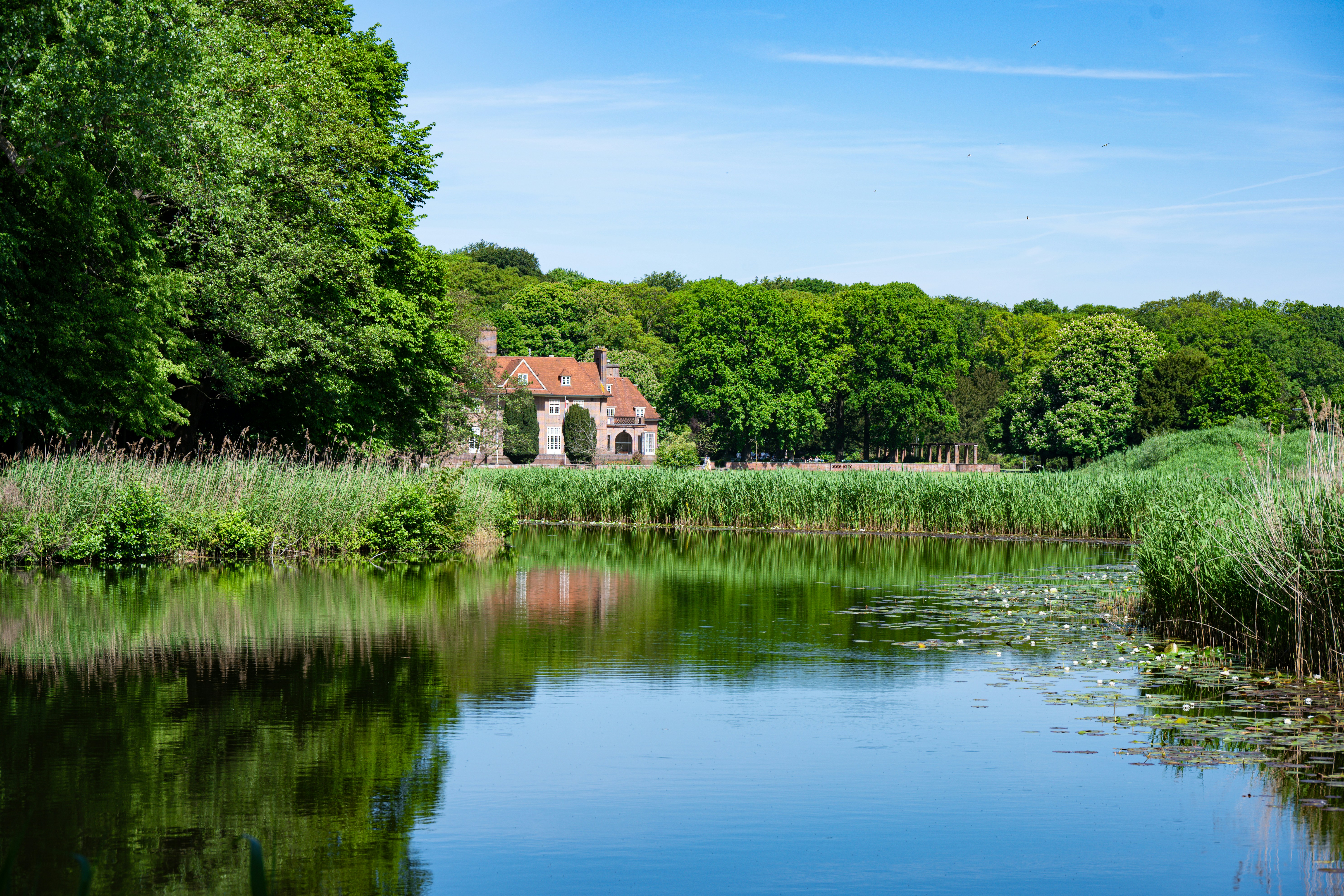 A tranquil lake with green trees and an old building.