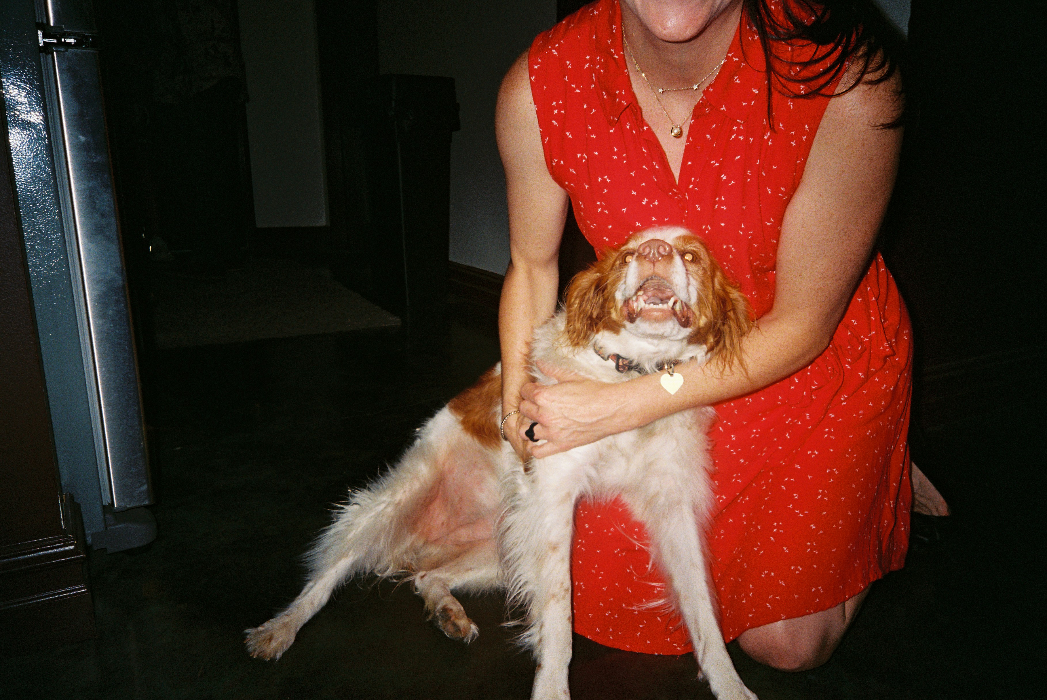 Woman in red dress holds a white and brown dog