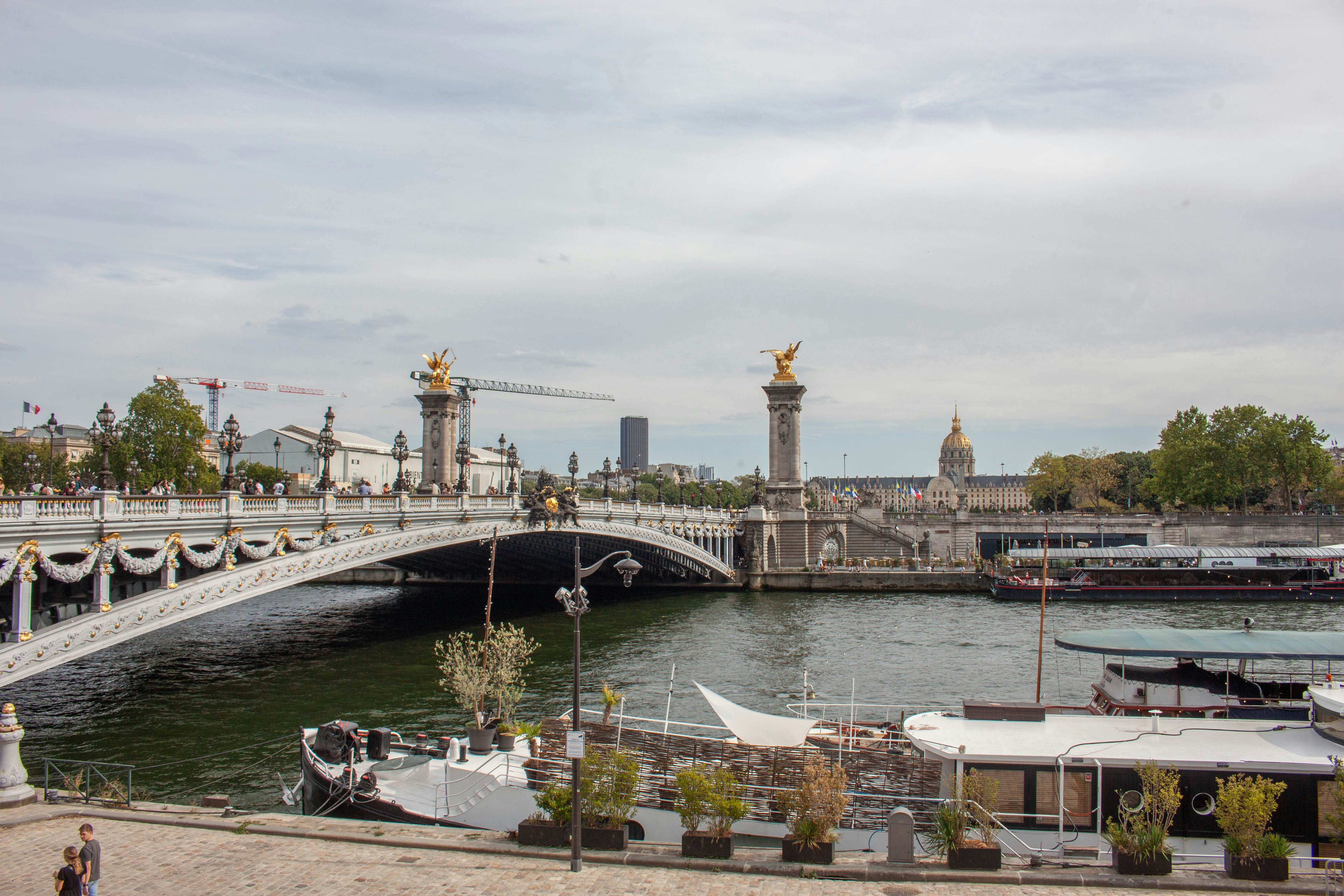 Ponte Pont Alexandre III sul fiume Senna con skyline parigino
