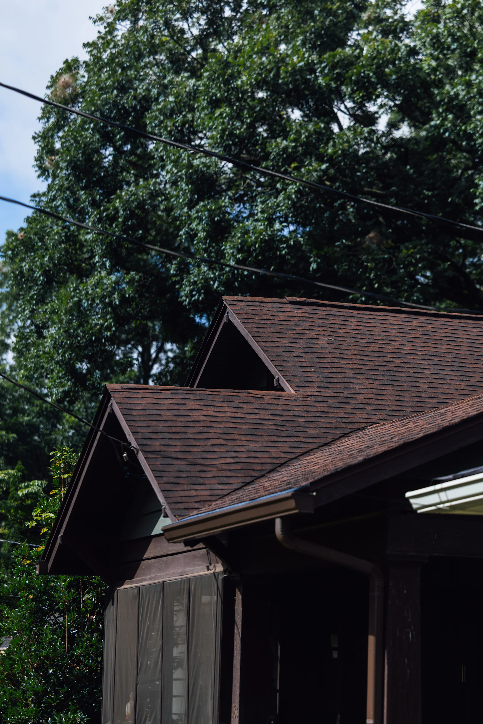 Brown shingled roof with trees behind it