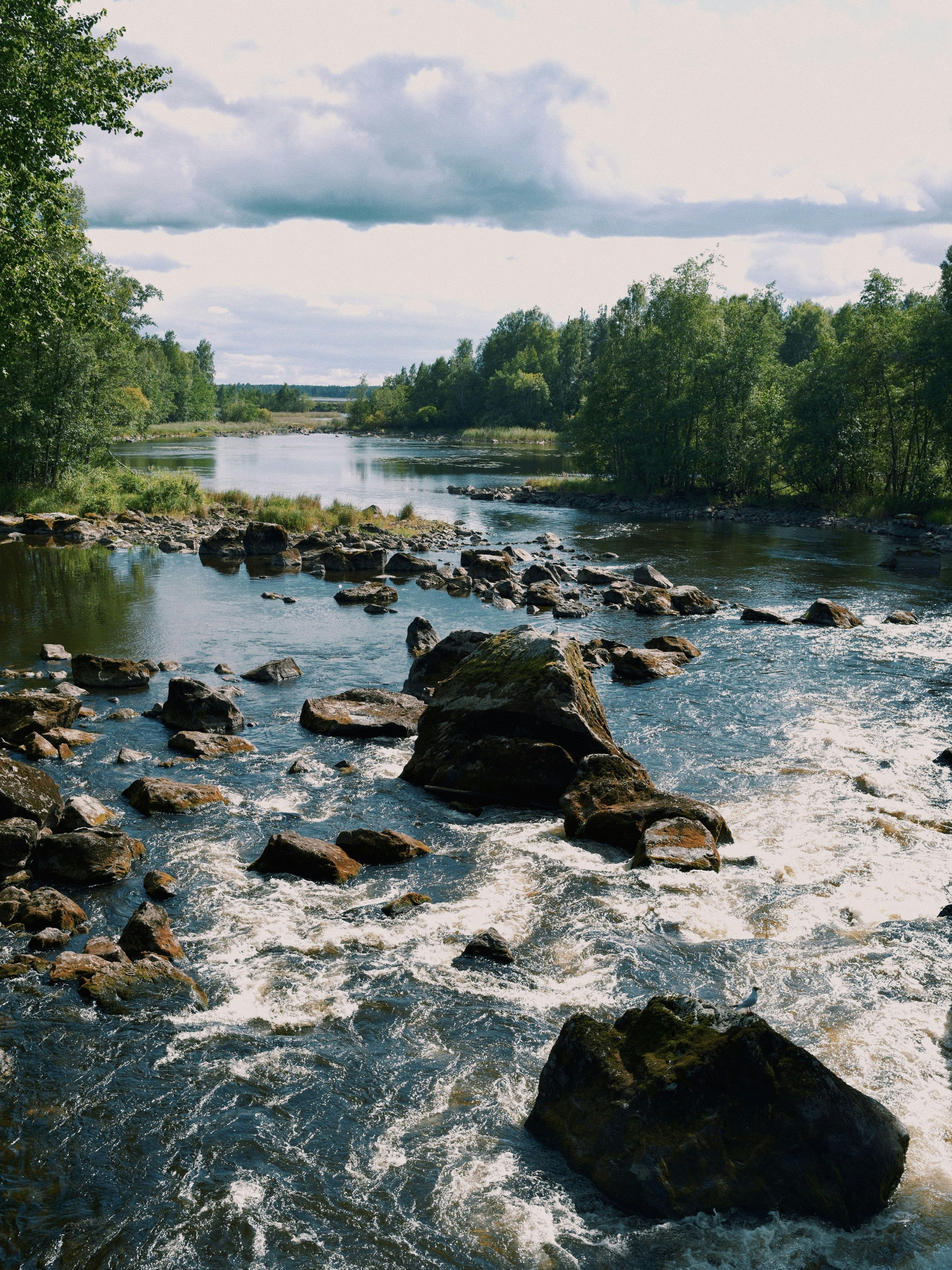 Fast-flowing river with large rocks and green trees
