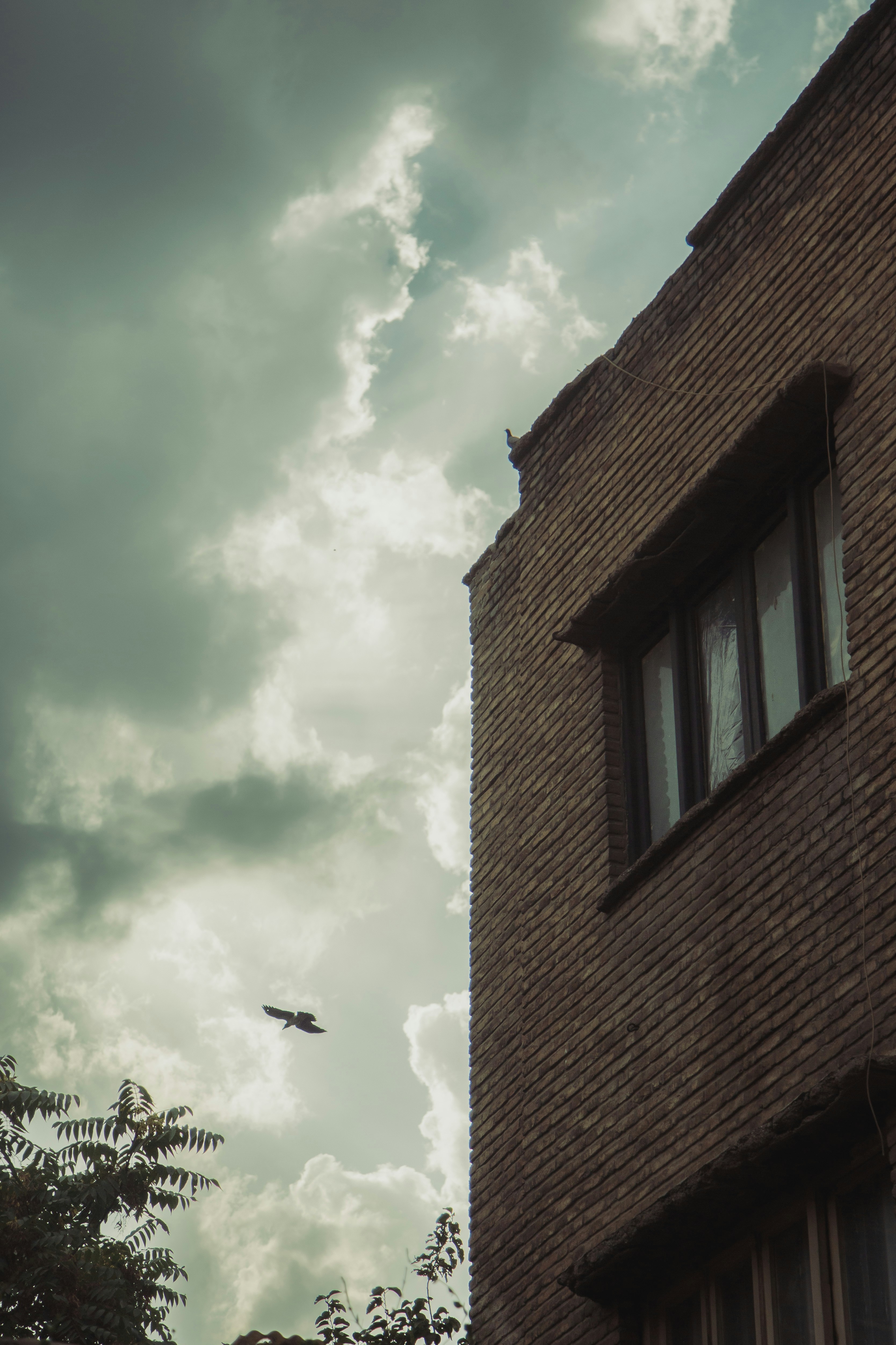 Bird flying by brick building under a dramatic cloudy sky.