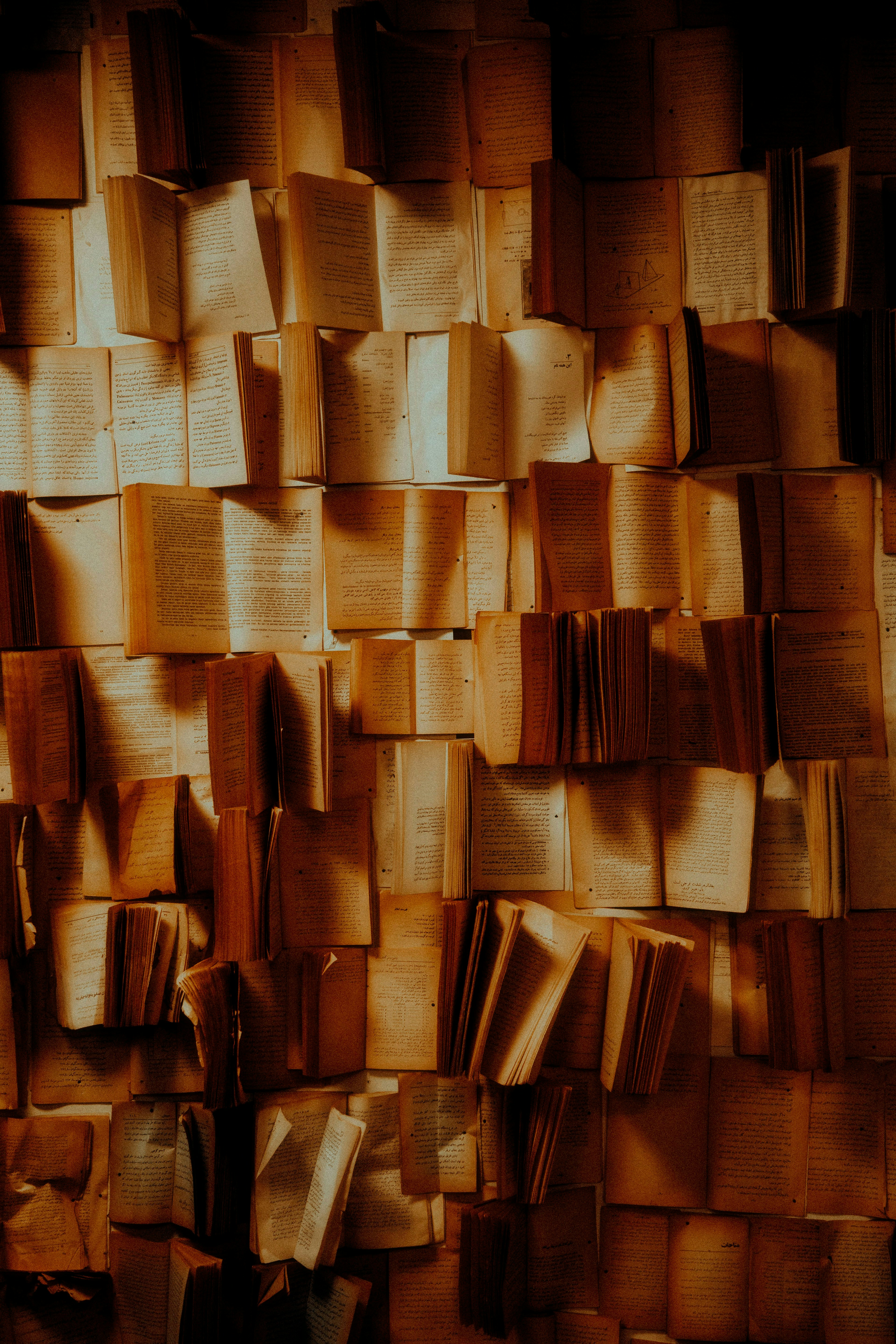 Many open books arranged on a wall with warm lighting.