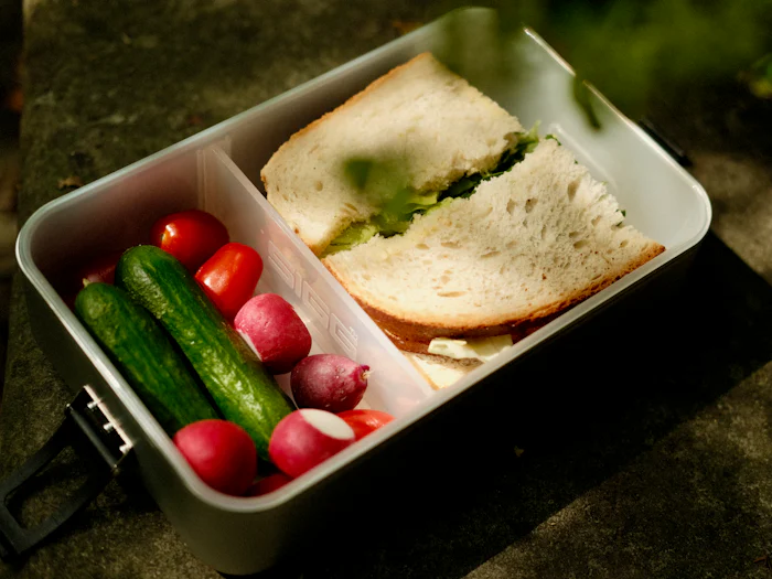 Lunchbox packed with a sandwich and vegetables