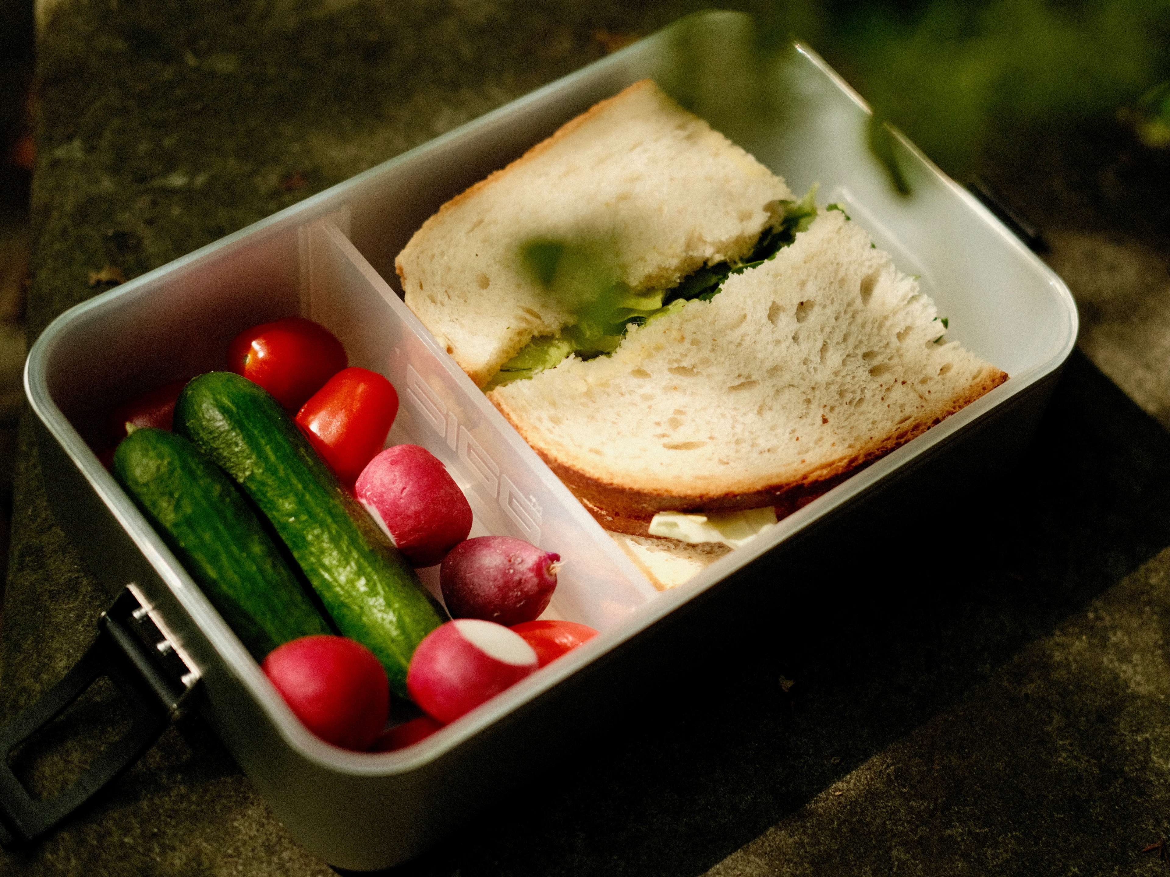 Insulated Steel Lunch Box – view 3